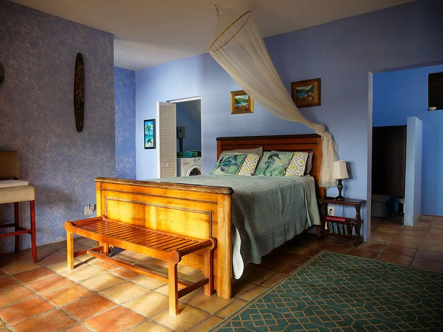 Searena Properties - st thomas vacation.jpg