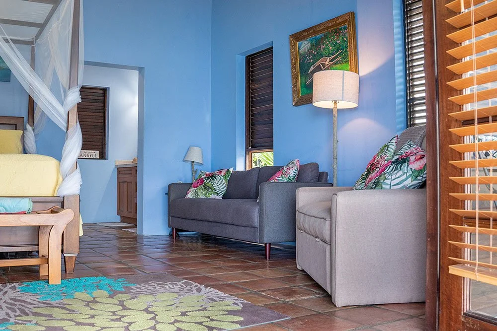 Searena Properties - st thomas villas with private pool, airbnb.jpg
