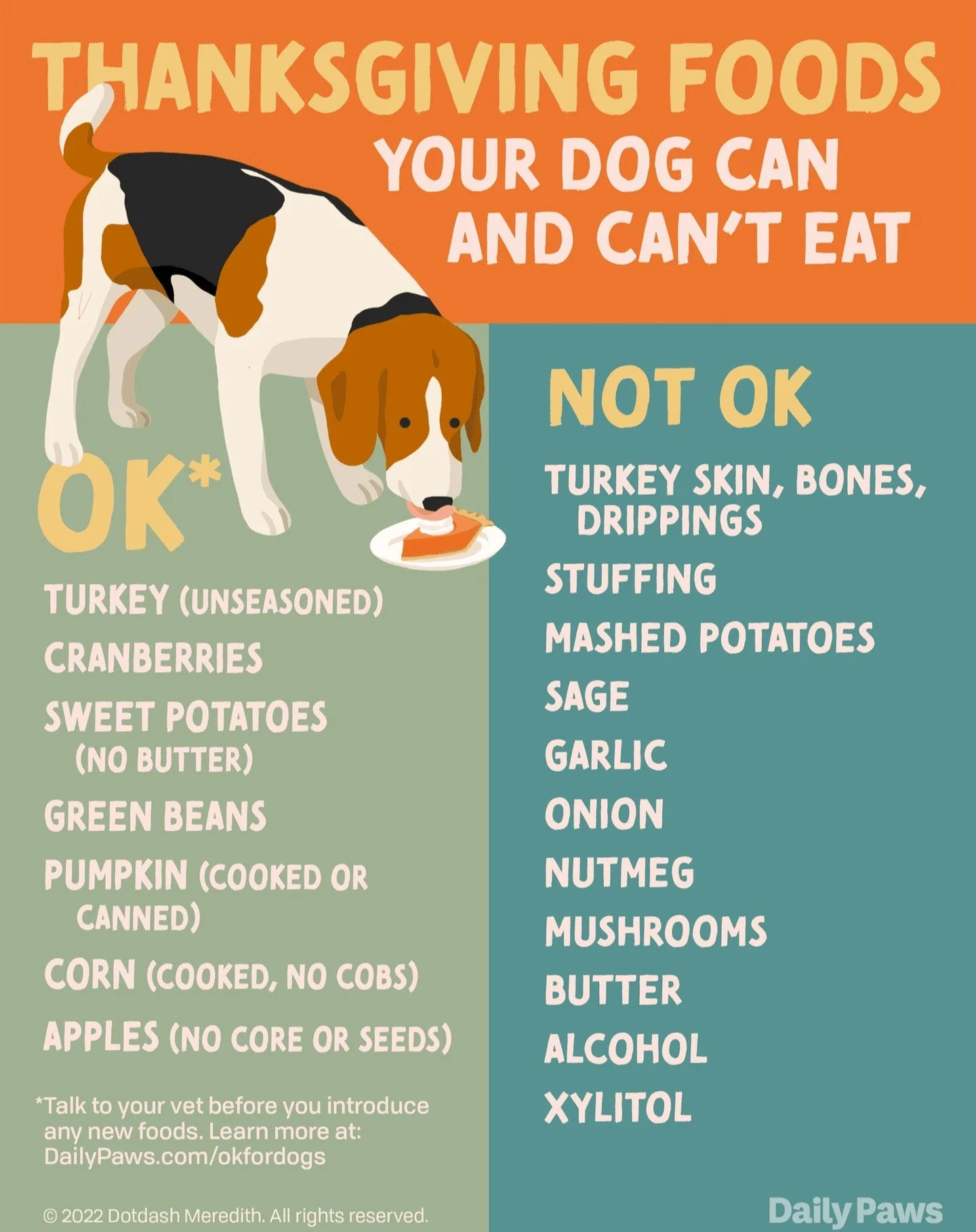 🦃Thanksgiving is only three days away, and while we all want our pets to enjoy the feast like the rest of us, it's vital to ensure that what they're eating is actually safe. Check out these pawsome infographics to make sure your favorite fluffy comp