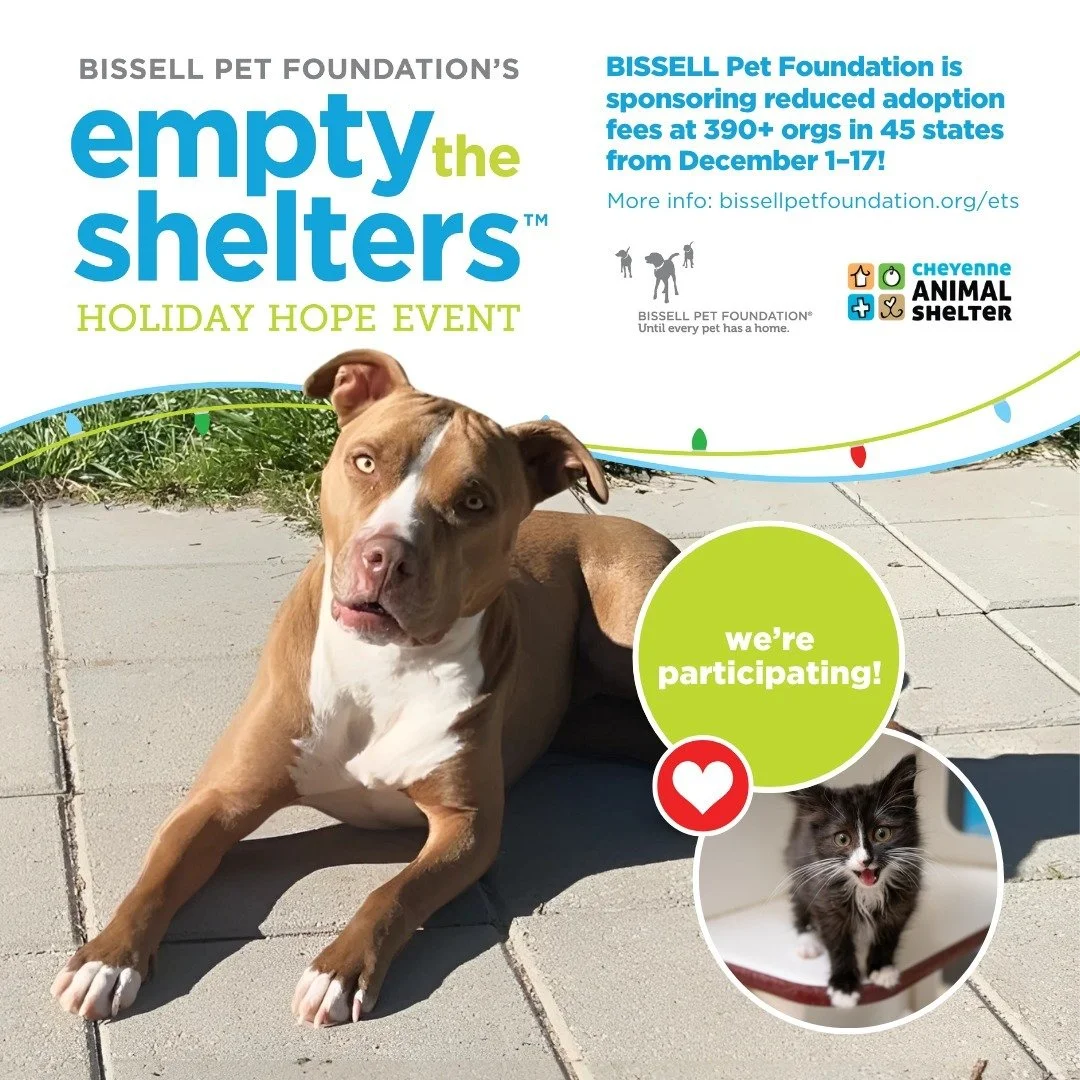 🐾The BISSELL Pet Foundation's #EmptyTheShelters adoption event kicks off this weekend! Starting Sunday, December 1st, you can head to the Cheyenne Animal Shelter and add a new fluffy friend to your pack with a reduced adoption fee. 

Our Shelter pet