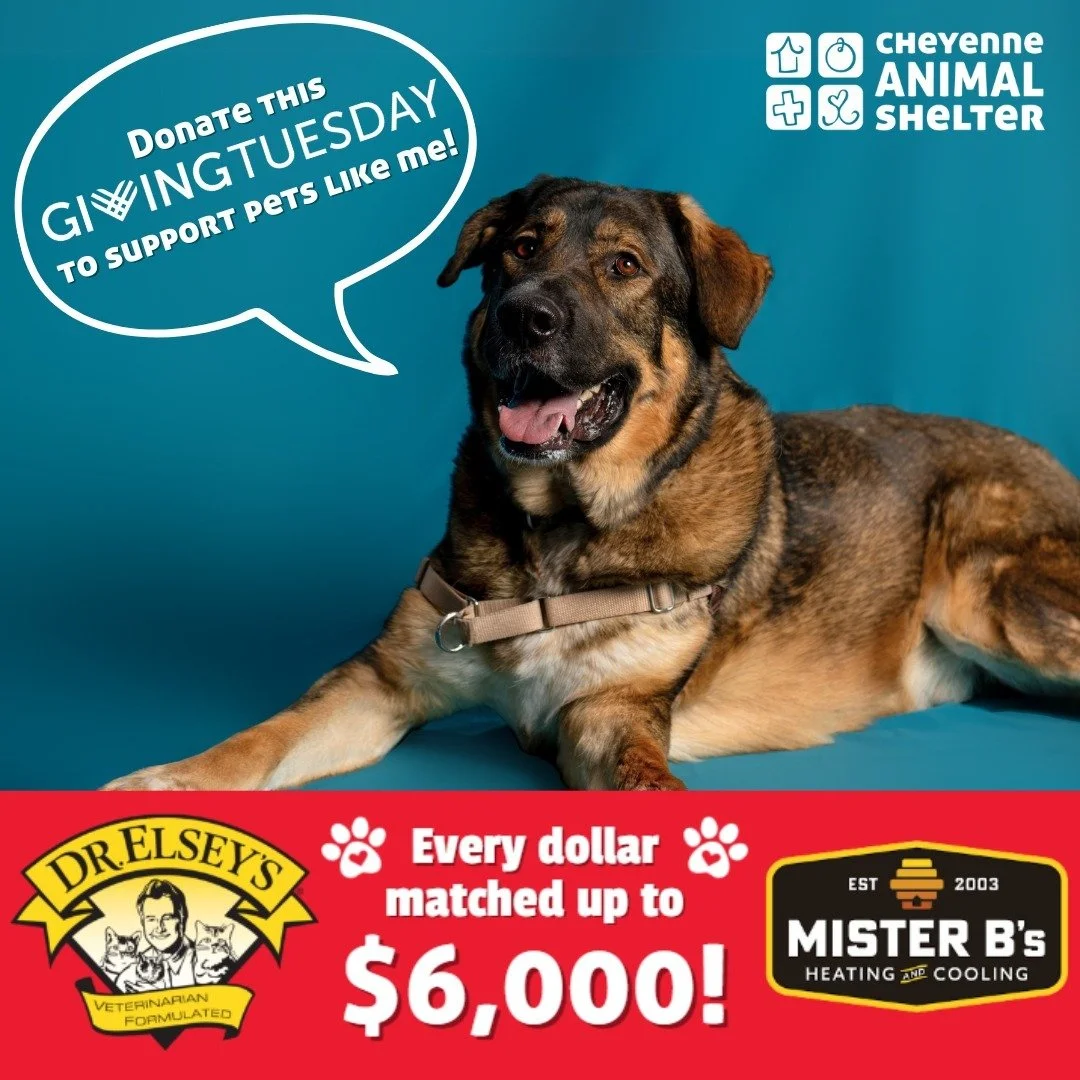 🐾 Are you ready to make a pawsitive impact? #GivingTuesday kicks off at midnight tonight, but you can help us get a head start on our $35,000 goal by donating today (link in our bio)!

With the help of our friends at Dr. Elsey's and Mister B's Heati
