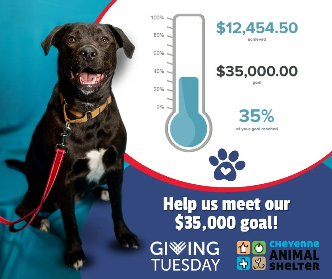 🐾 Happy #GivingTuesday, Cheyenne! Today, we come together to celebrate radical generosity as we strive to raise $35,000 for the pets and programs here at the Cheyenne Animal Shelter. We are off to such an amazing start and are so grateful for those 