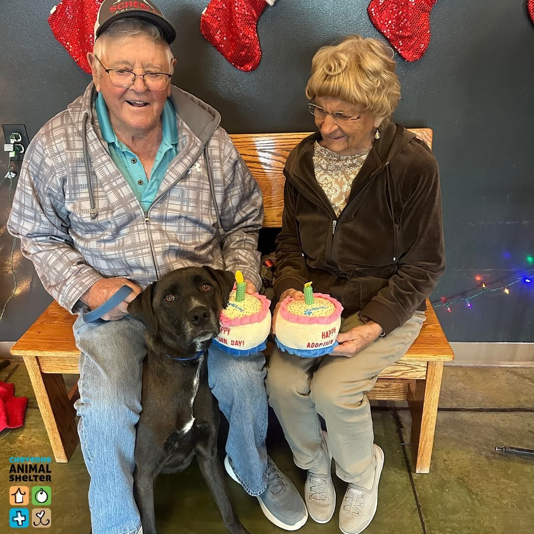 While the average length of stay for pets is 11 days, Dilly and Titan called the Cheyenne Animal Shelter their home for 6 months. We are so excited to announce that both of these big love bugs have been swept off their paws and are starting their new
