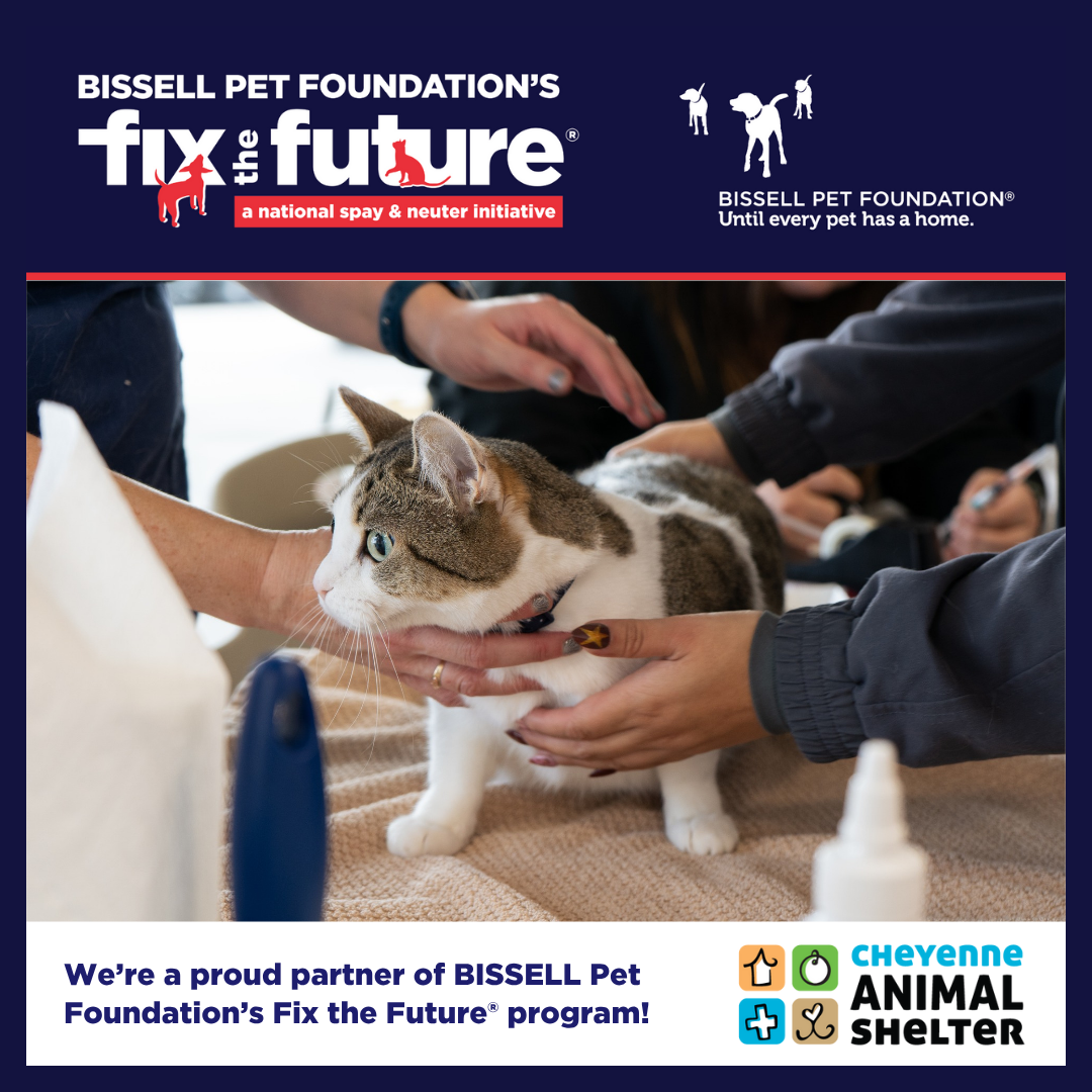 BISSELL Spay Day - August 9th