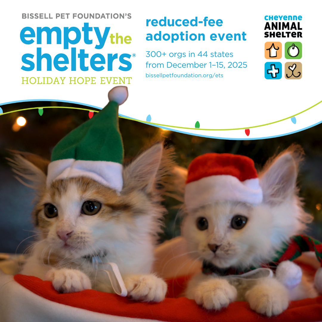 Empty the Shelters Adoption Event by the BISSELL Pet Foundation