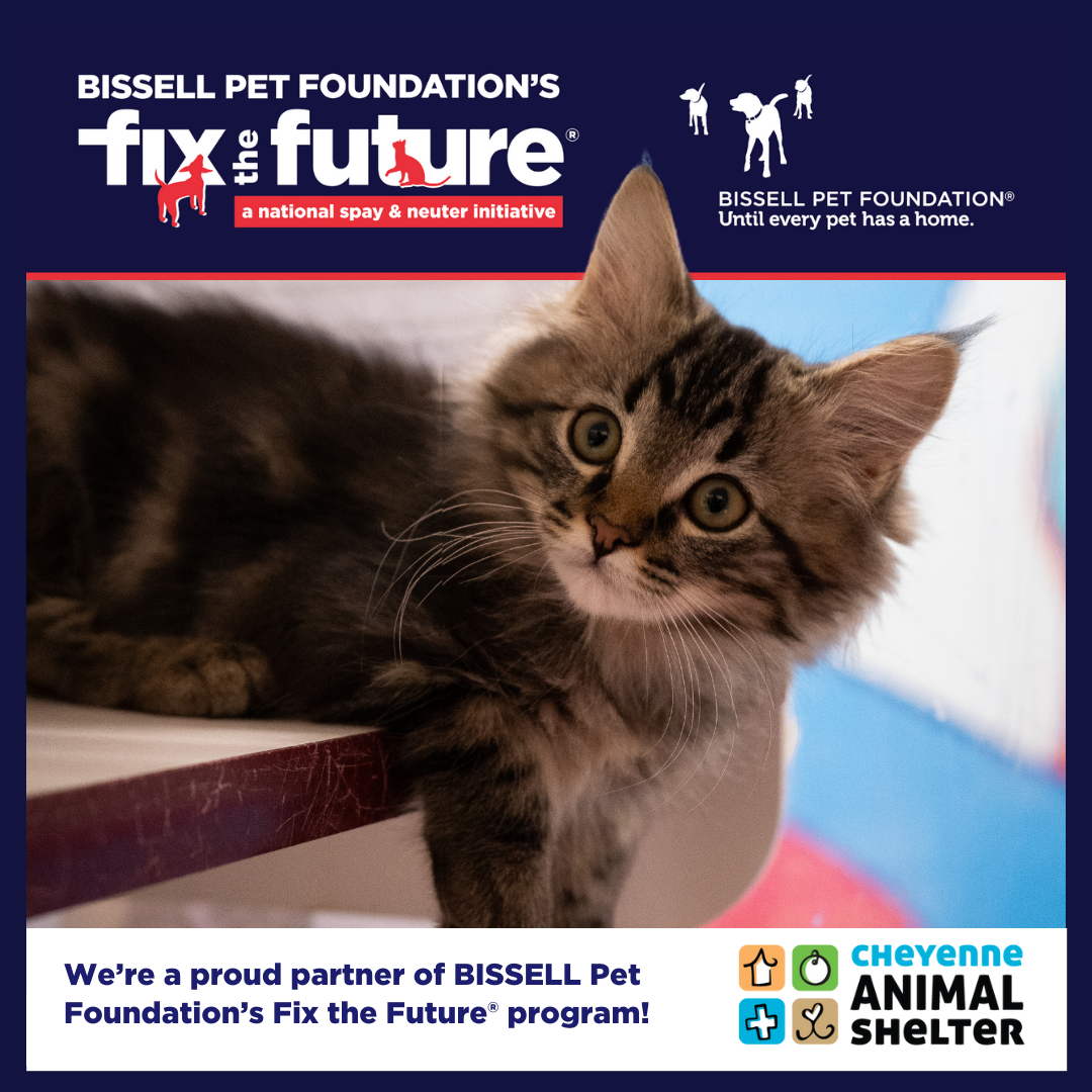 BISSELL Spay Day - Cats Only