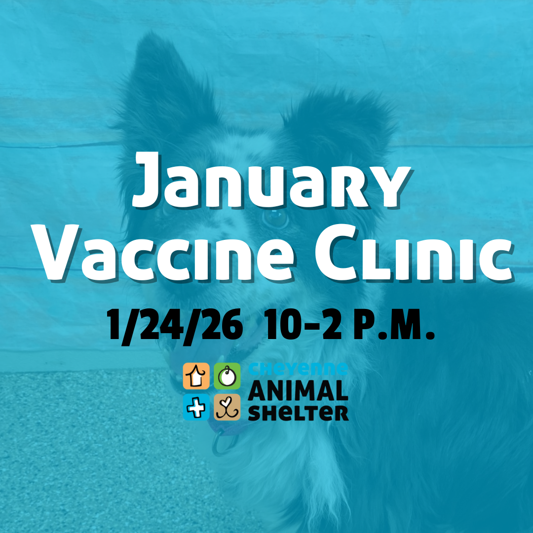 January Vaccine Clinic