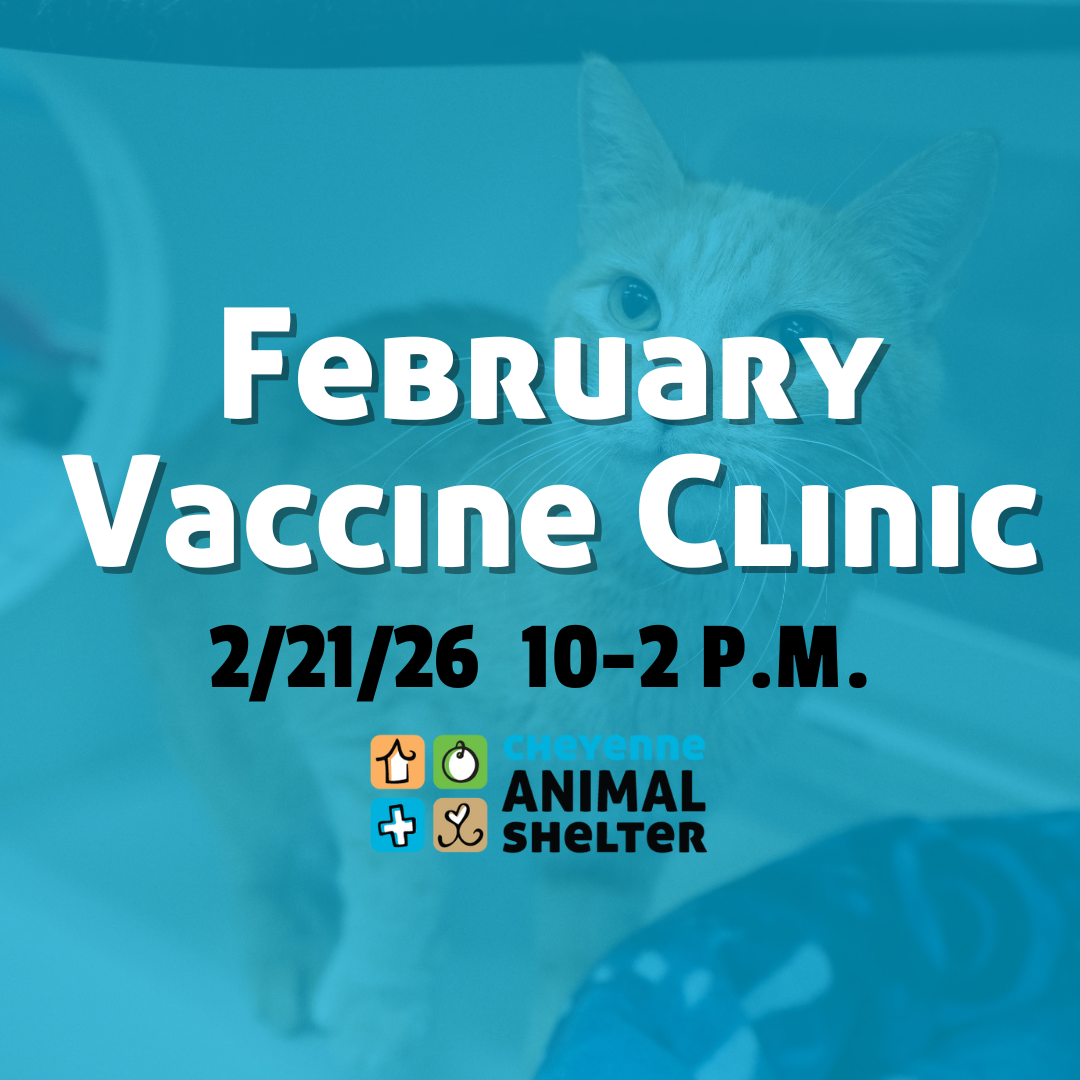 February Vaccine Clinic