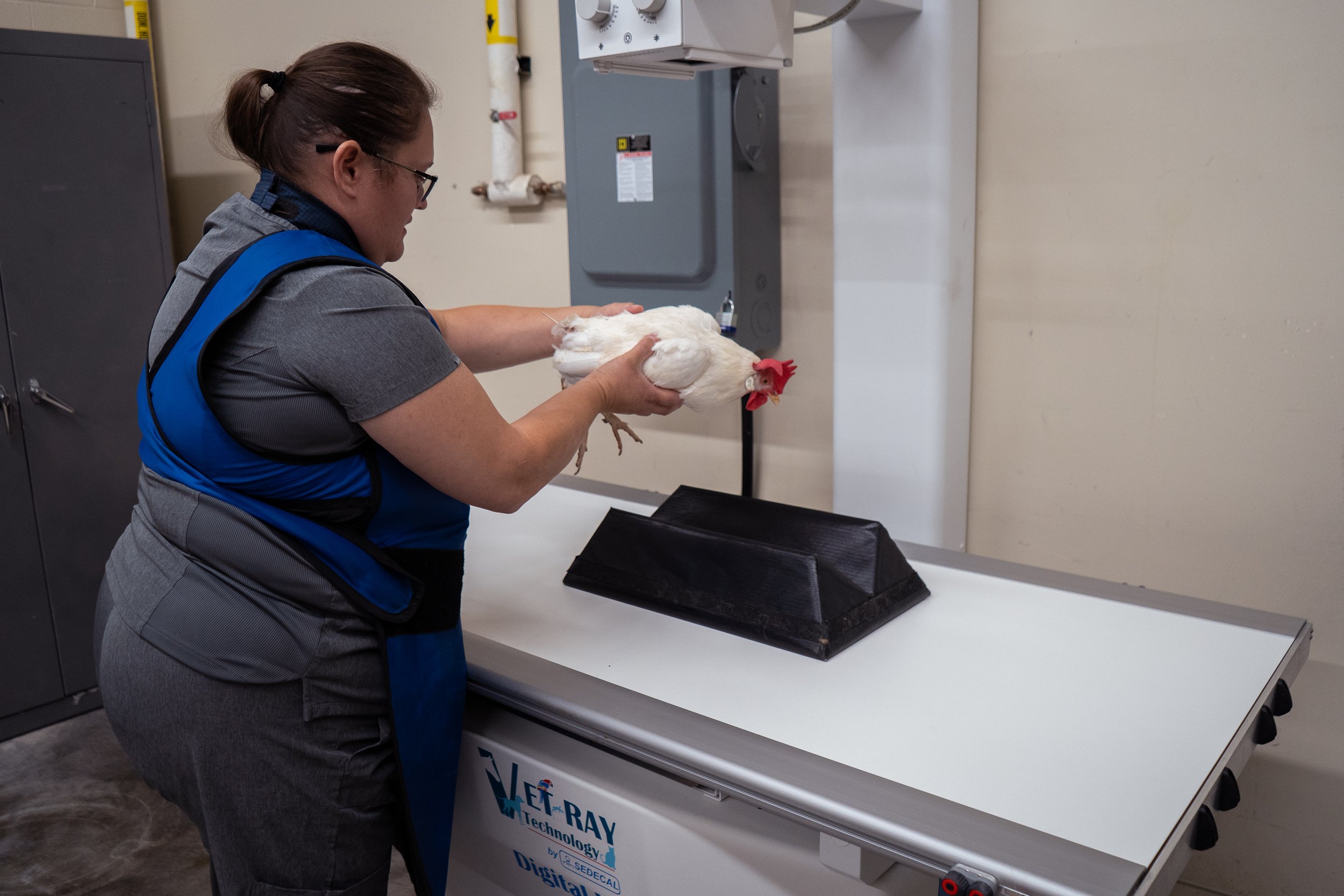 Reflections on 2025: Strengthening the Shelter Behind the Scenes