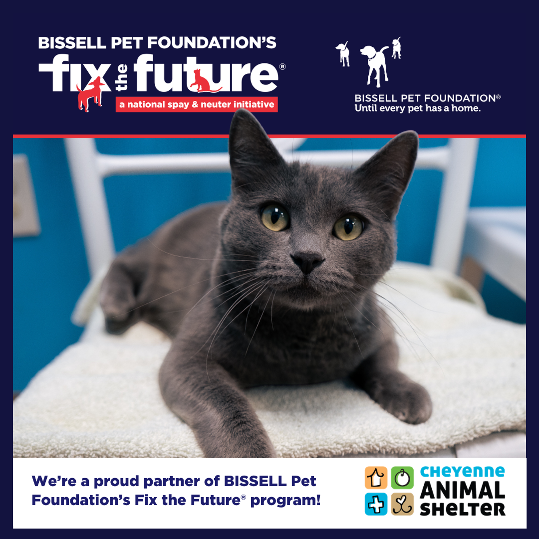 BISSELL Spay Day - Cats Only