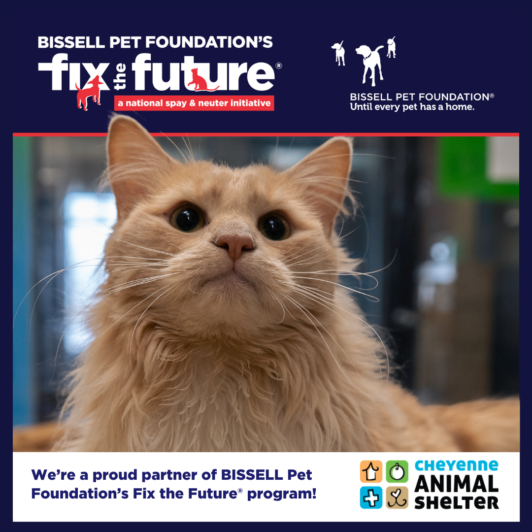 BISSELL Spay Day - Cats Only