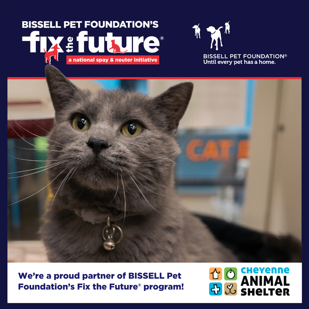 BISSELL Spay Day - Cats Only