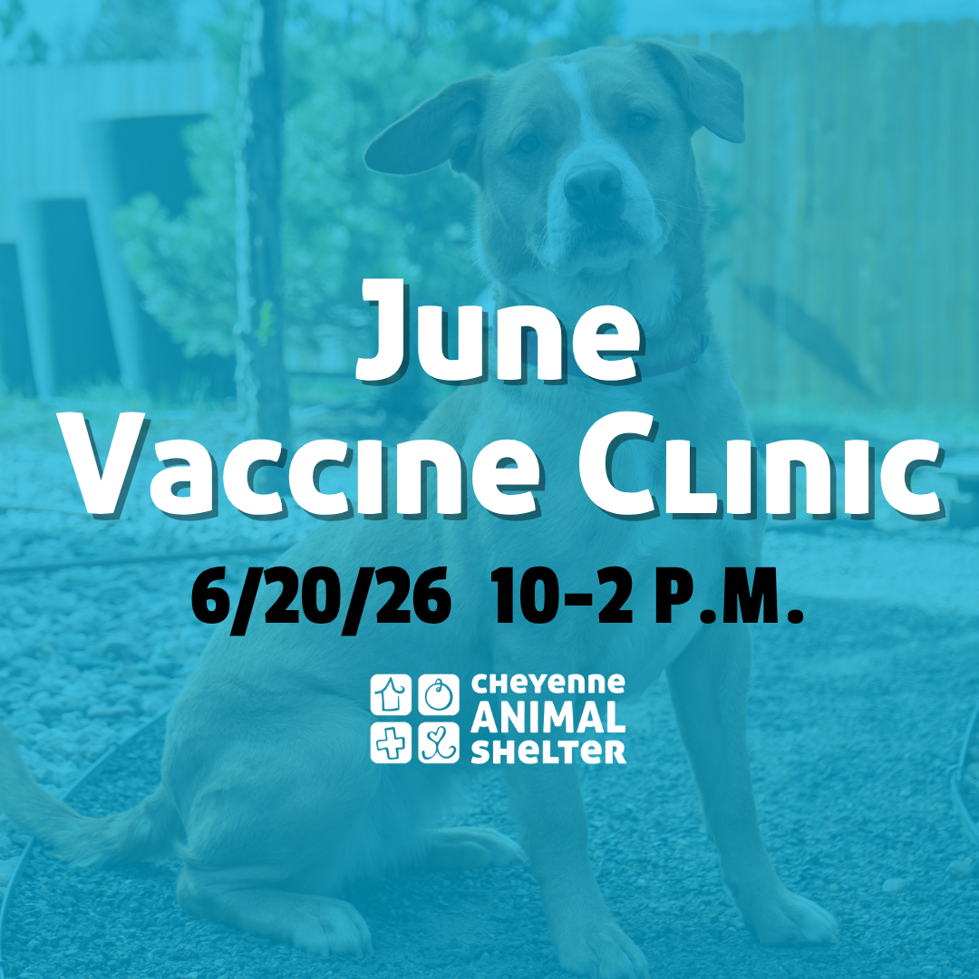 June Vaccine Clinic