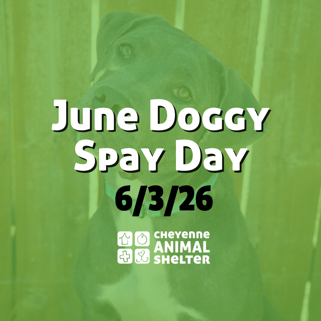 June Doggy Spay Day
