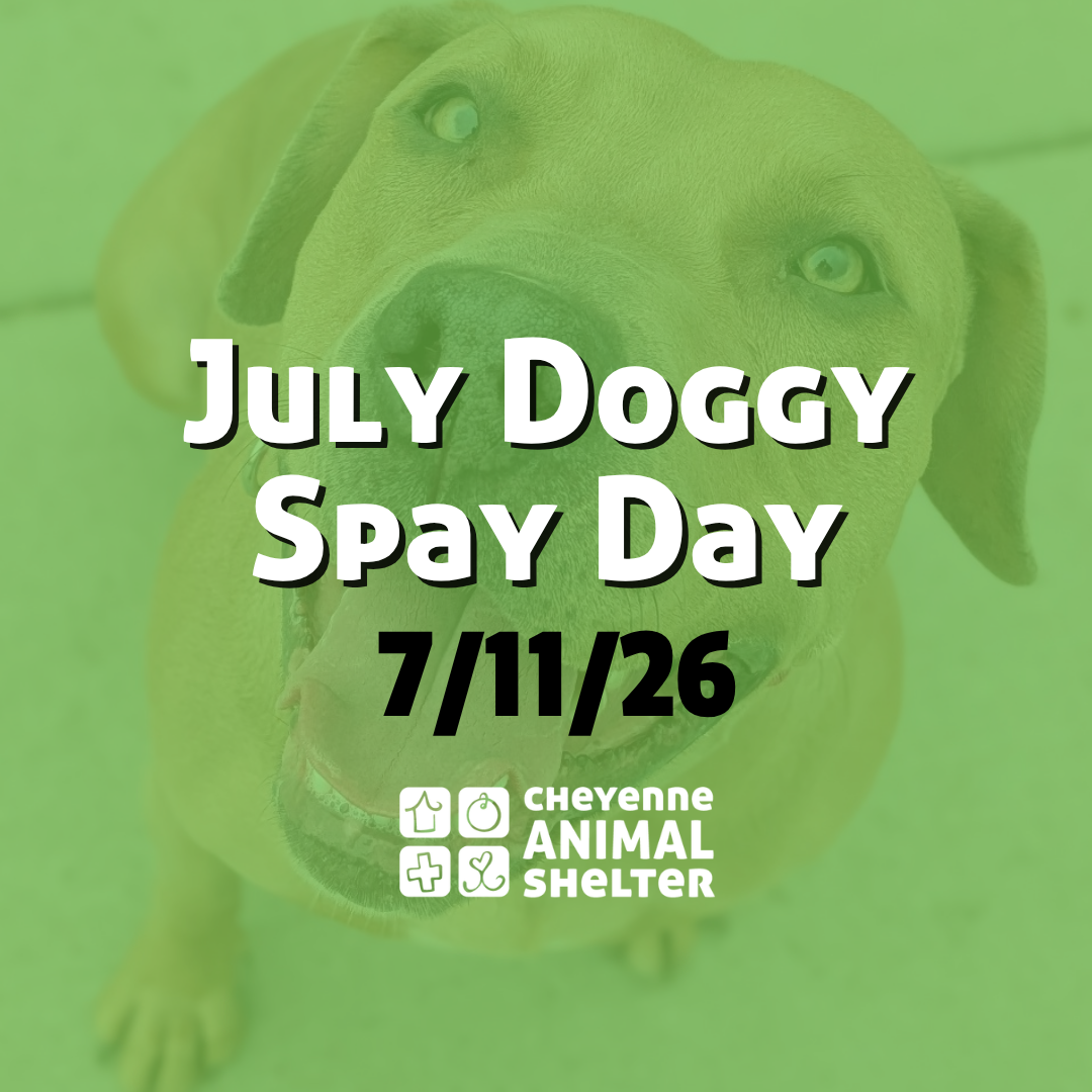 July Doggy Spay Day