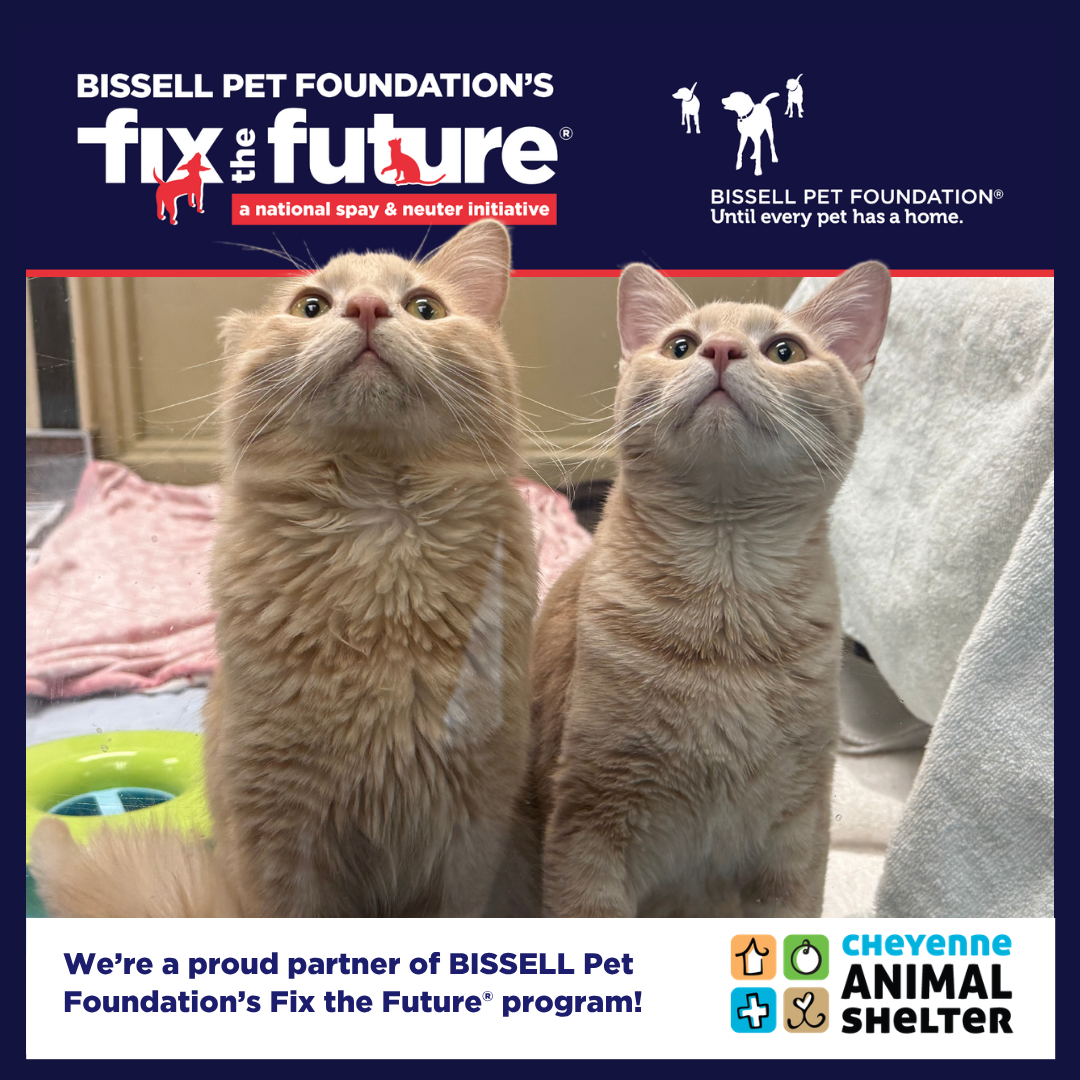 July BISSELL Spay Day - Cats Only