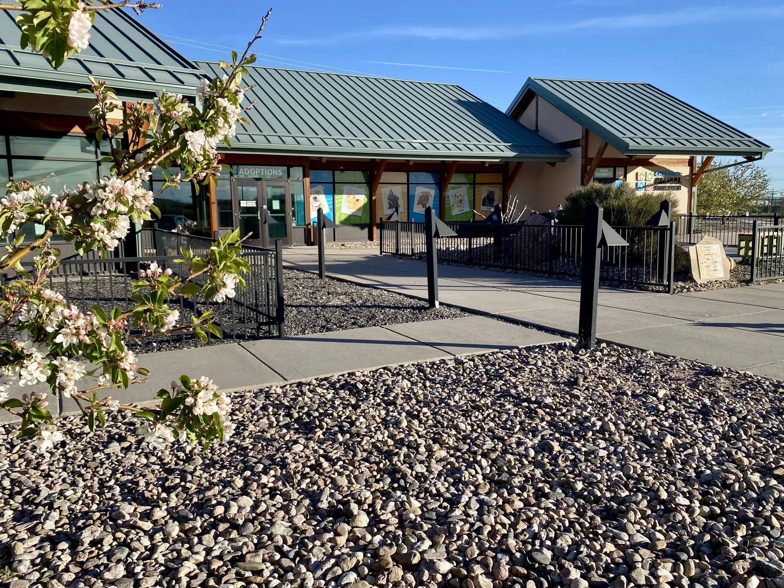 The Nancy Mockler Dog Park: An Indefinite Closure and a Call to Our Community