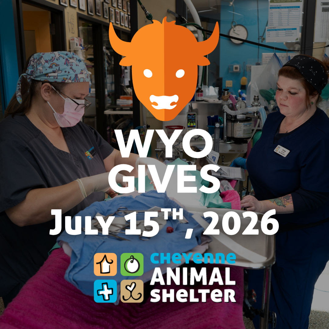 WyoGives Day 2026