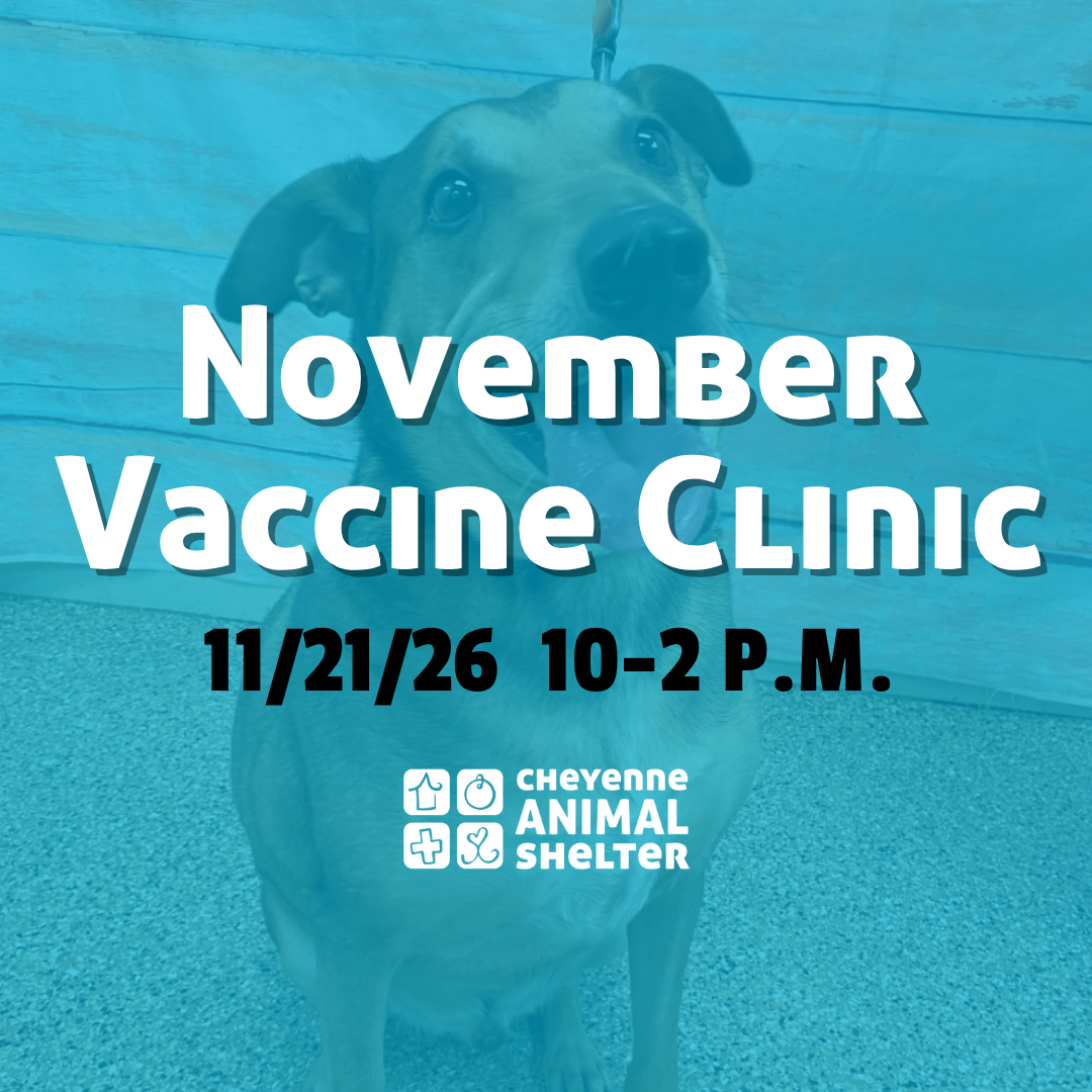 November Vaccine Clinic