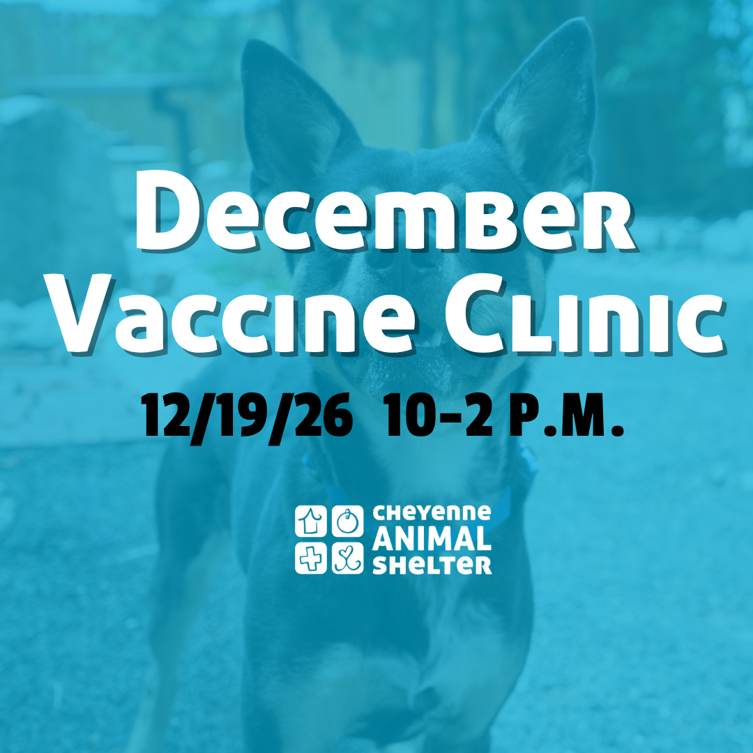 December Vaccine Clinic