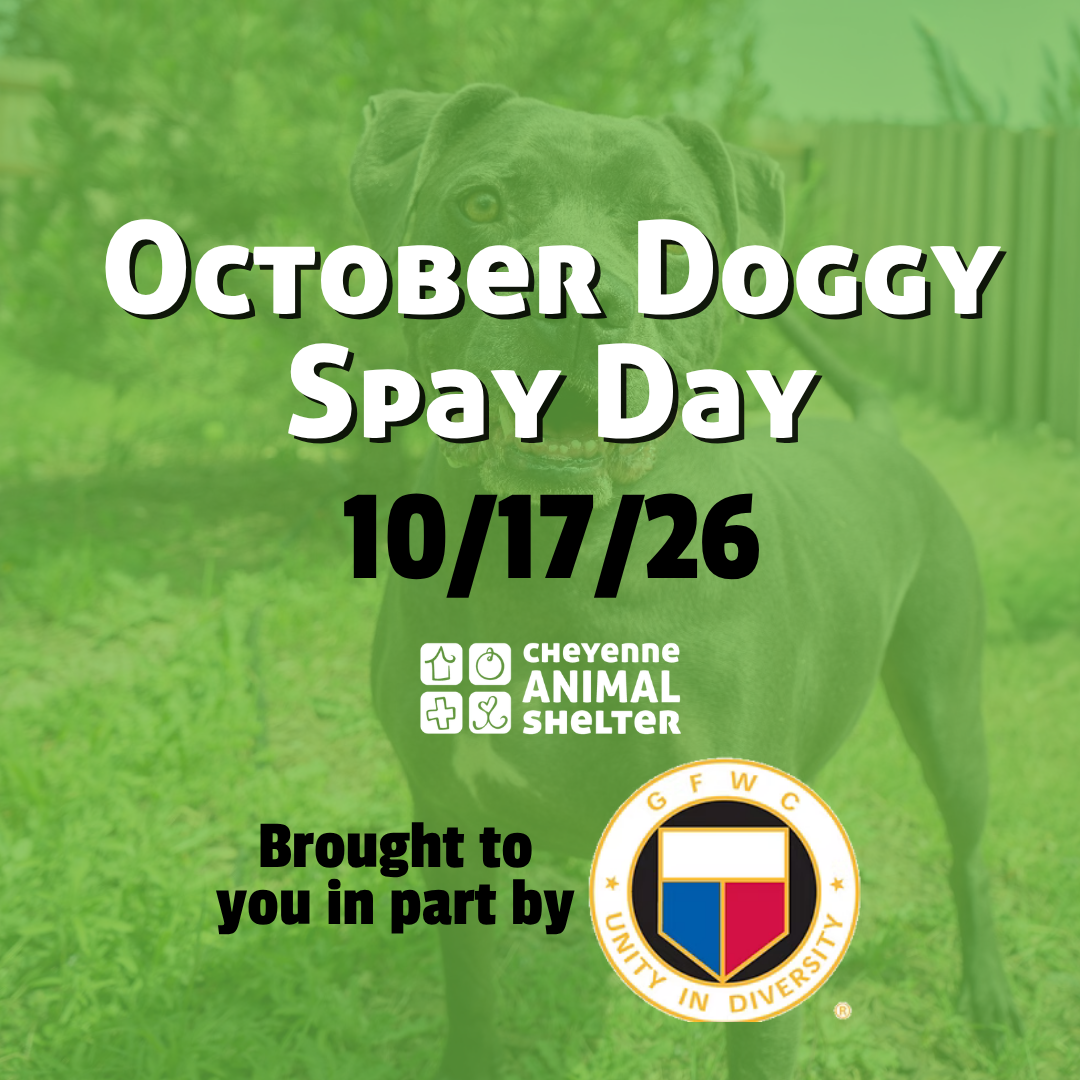 October Doggy Spay Day