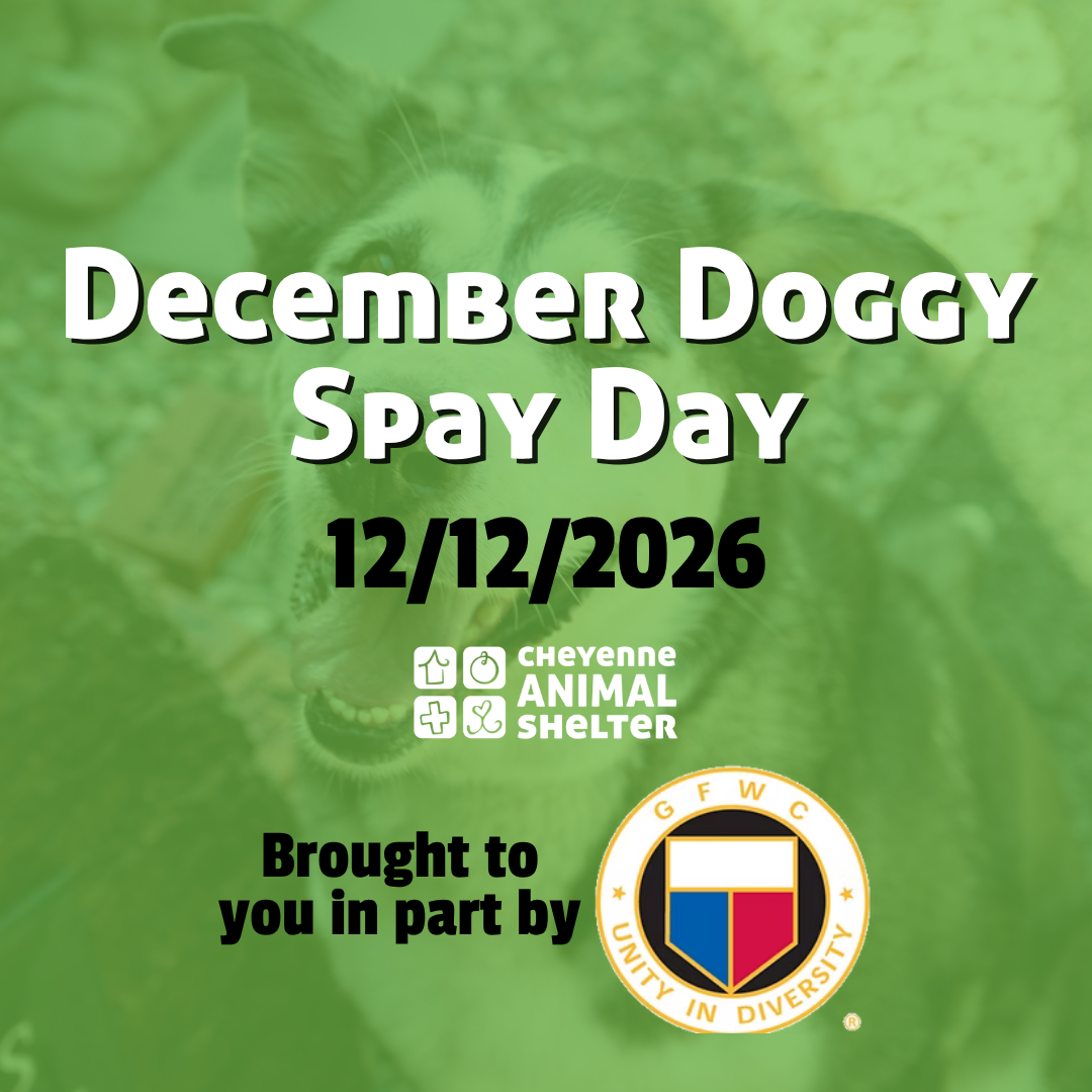 December Doggy Spay Day
