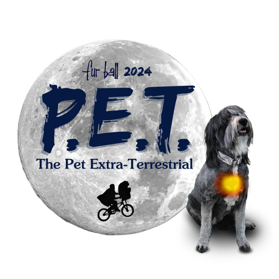 2024 Fur Ball — Cheyenne Animal Shelter