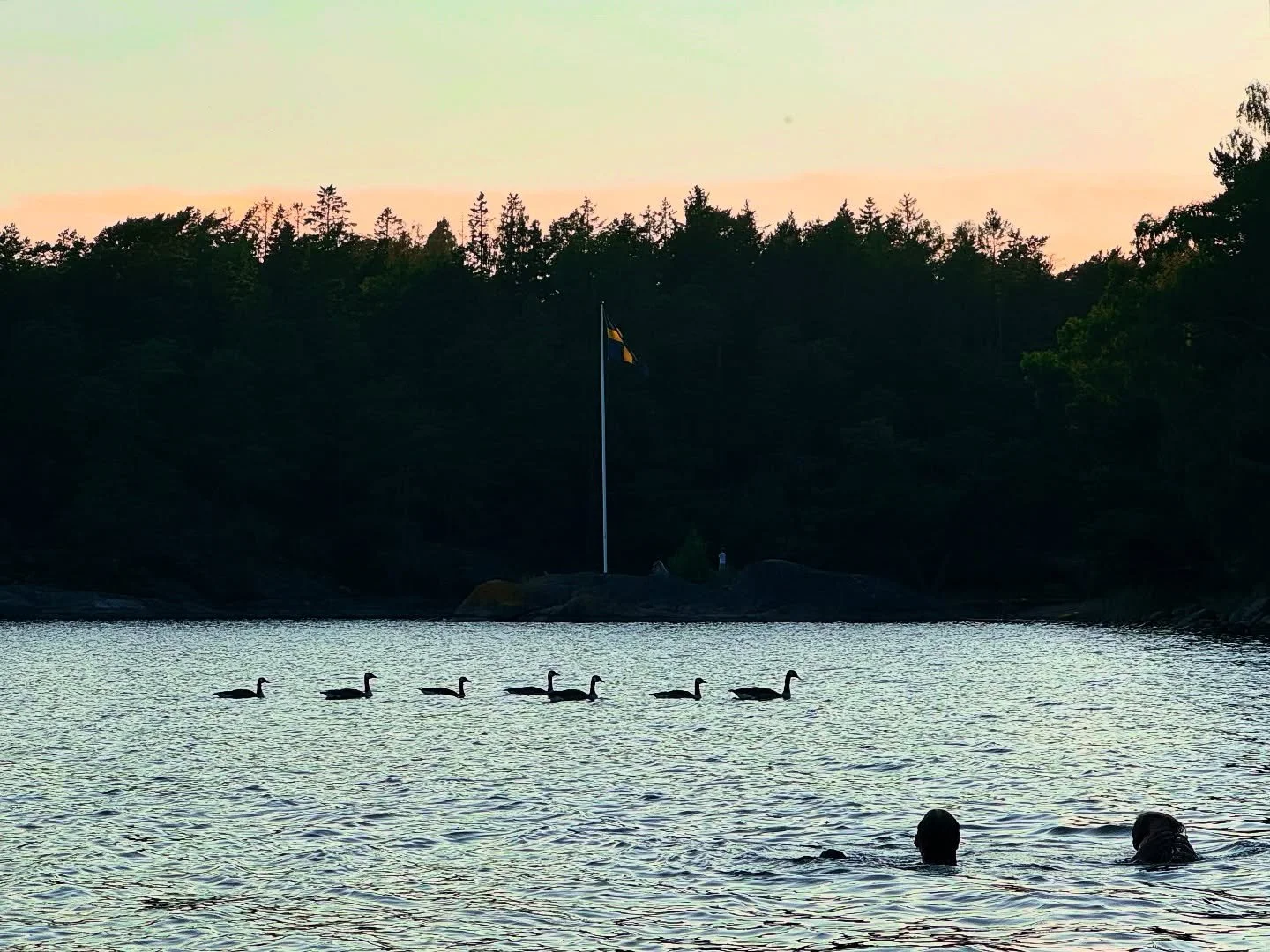 Always have your ducks in a row.