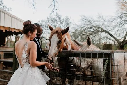 Bride and groom interact with horses during a relaxed, rustic outdoor wedding moment at a countryside venue
