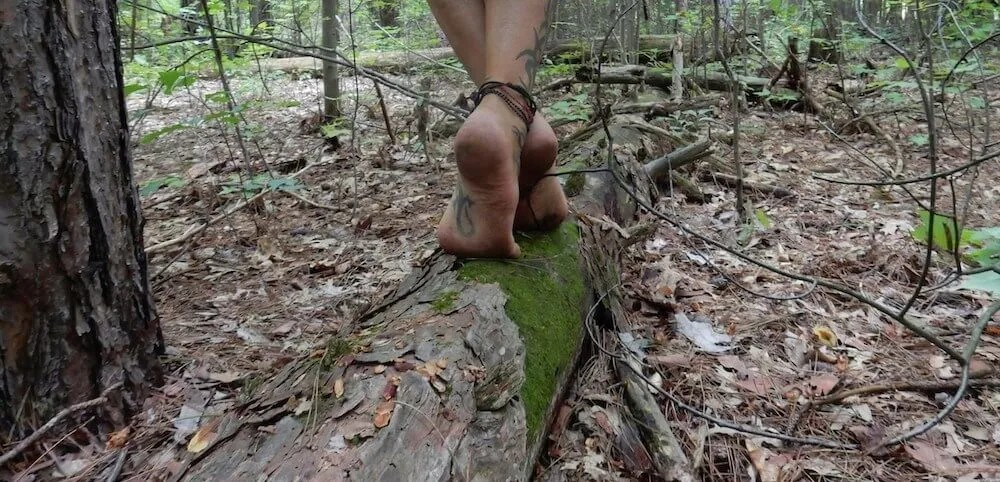 Grounding and Earthing