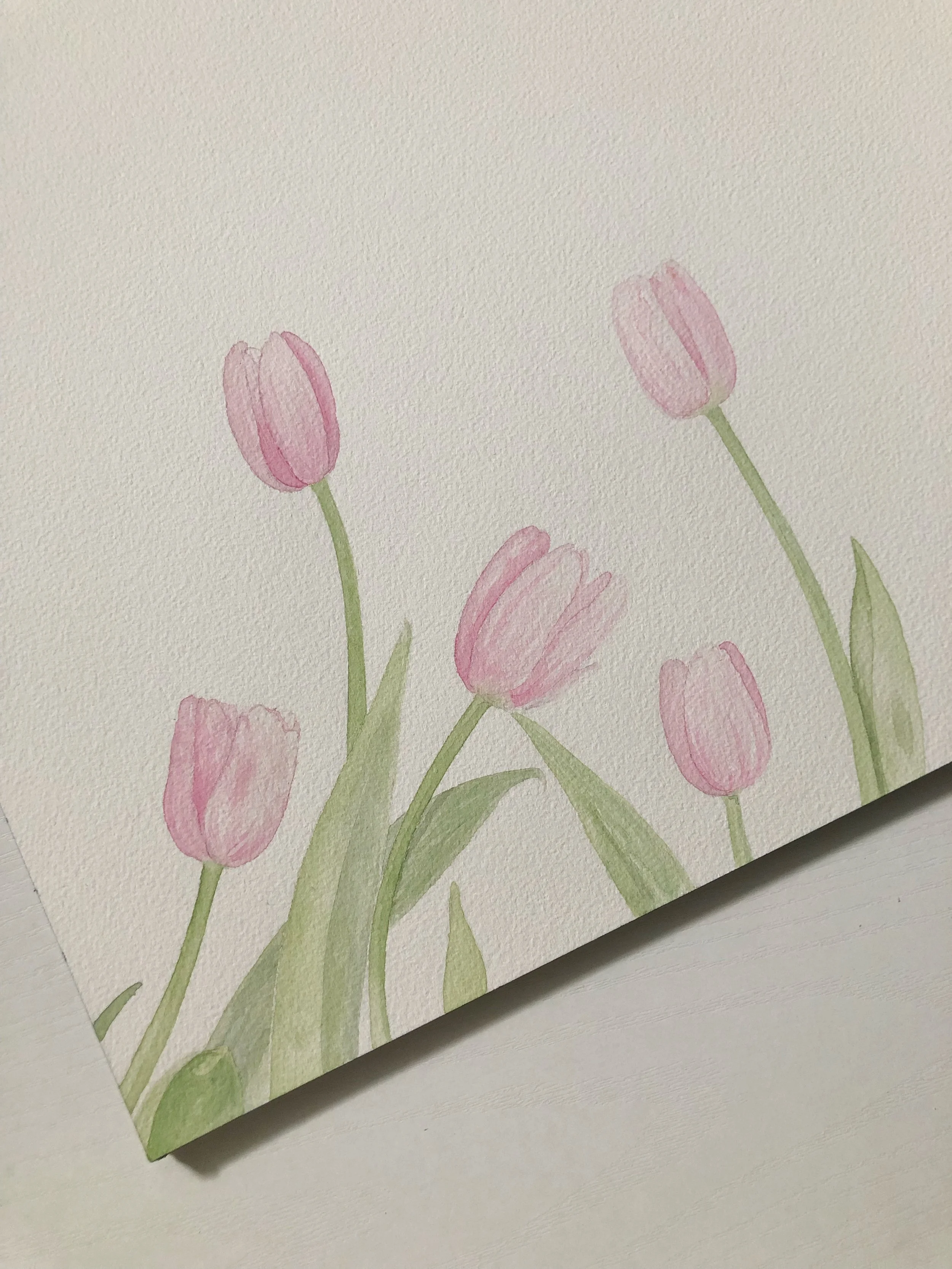 Whitagram-Image 3.JPG