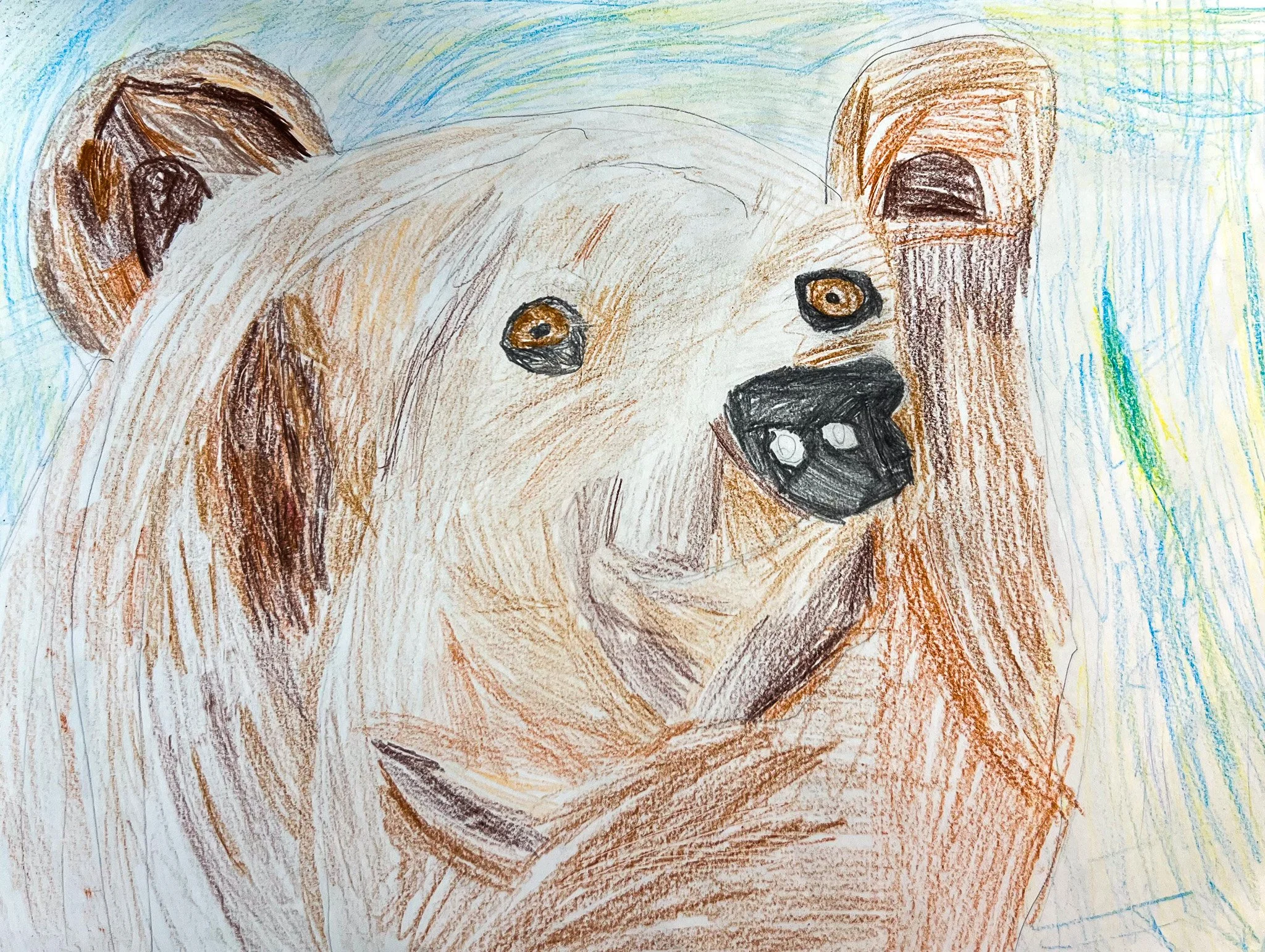 Star of Merit
Colored Pencil: “Curious Bear”
Danielle Keller  - HH Prep
ARTS EDUCATOR: Kelly Dillon

