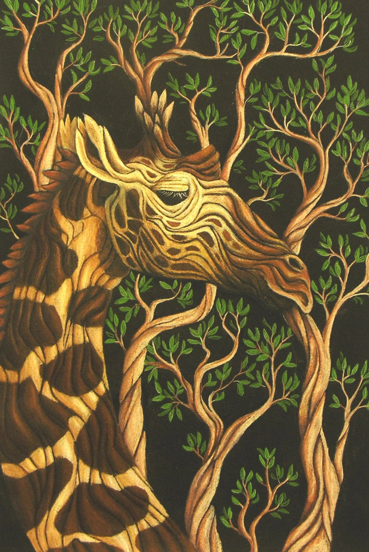 2026 1st Place Winner: Sr. Division
Color Pencil:  "Transformation of Africa"
Sienna Schutz - HHIHS
ARTS EDUCATOR: Monique Dobbelaere