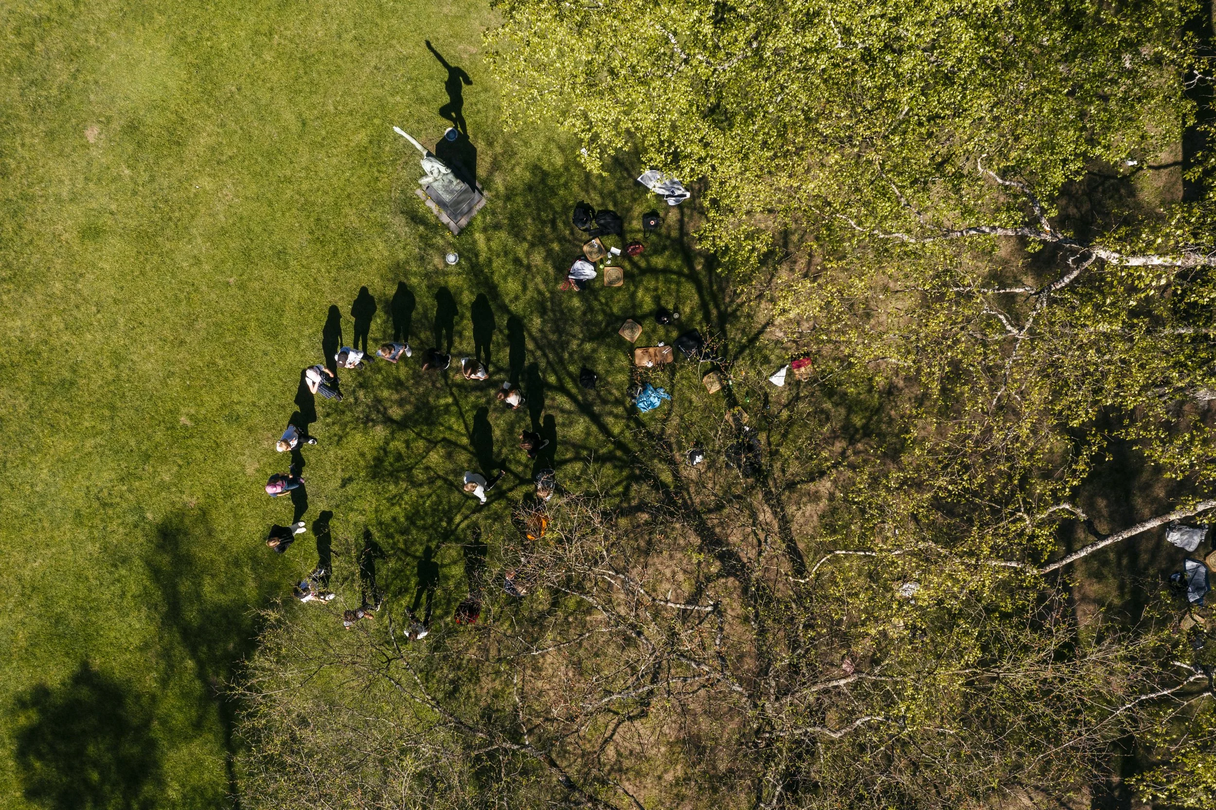 spring-at-a-distance-19.jpg