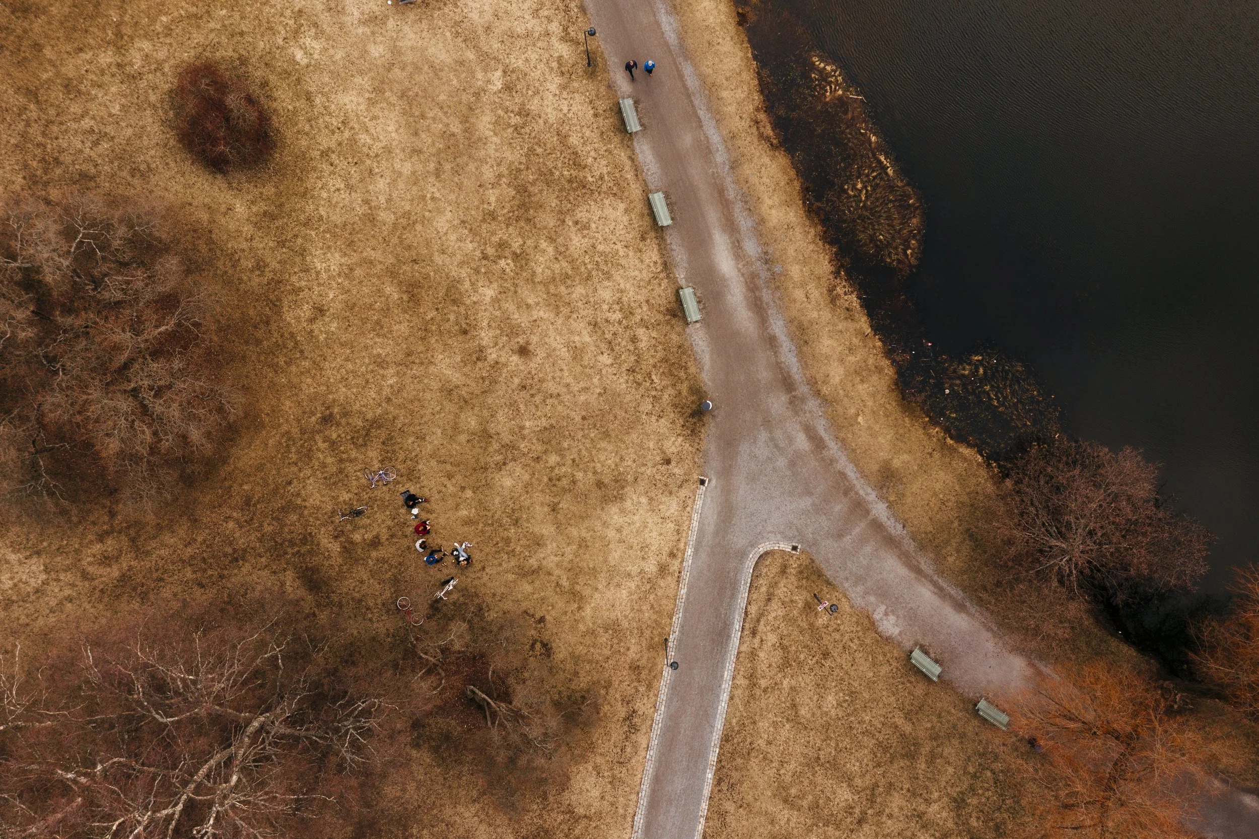 spring-at-a-distance-11.jpg