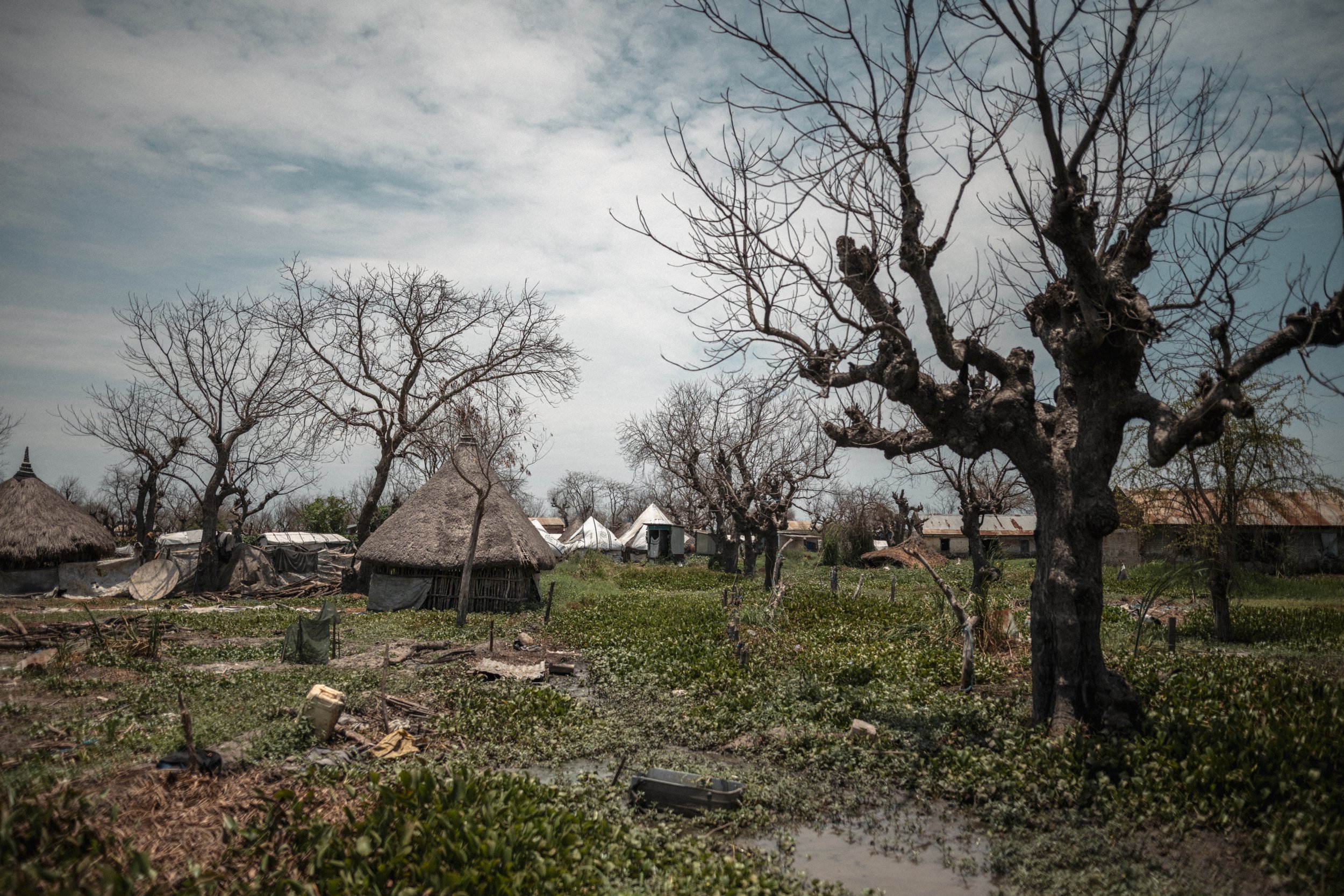 Homes in Old Fangak stand among floodwater and water hyacinth. The dyke protecting the town failed a year before this photograph was taken, displacing residents towards Paguir, Toch and other remaining high ground.