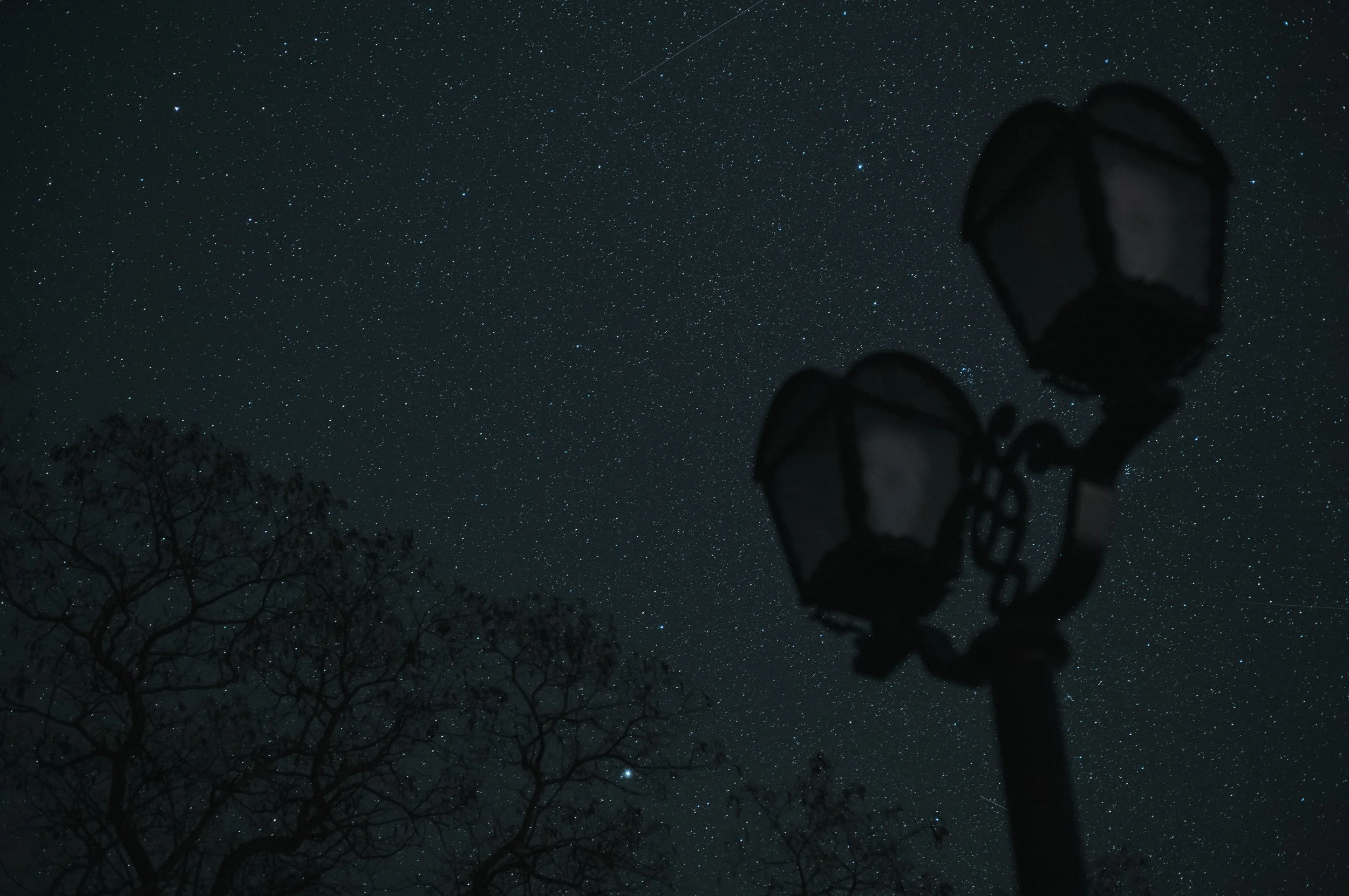 On a crisp February 2023 night, only stars guide evening walkers in Dytynets Park, one of Chernihiv’s oldest areas, favoured for leisure and dog walking. For those venturing out, wearing a headlamp is advisable.