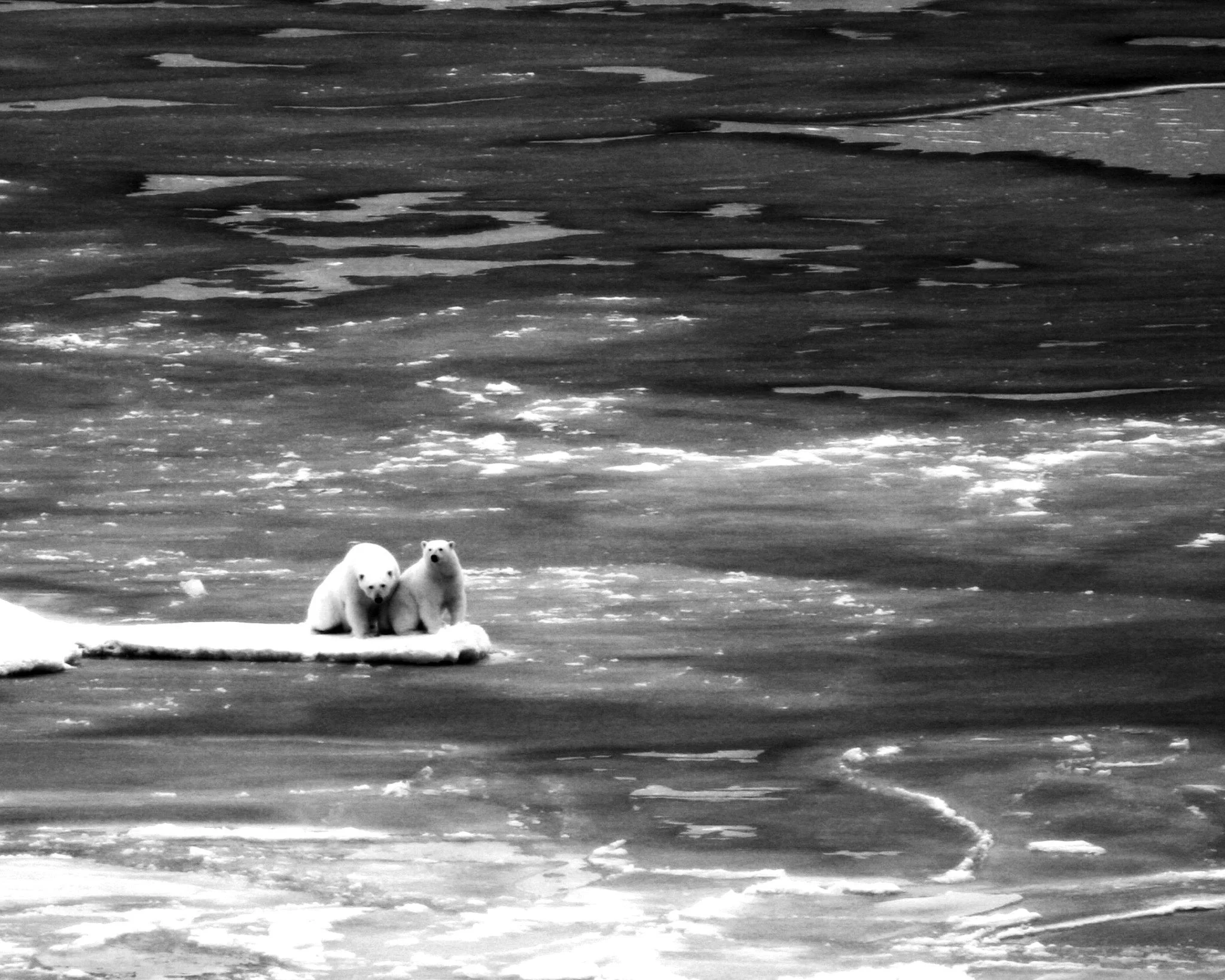 How media can better illustrate the climate crisis