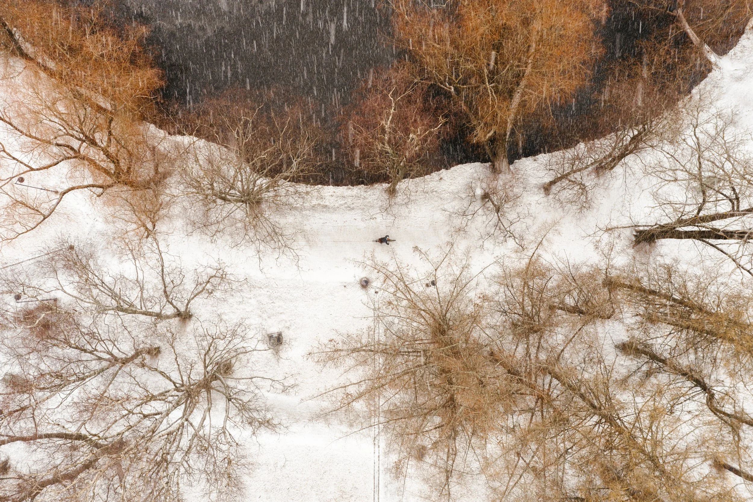 spring-at-a-distance-5.jpg