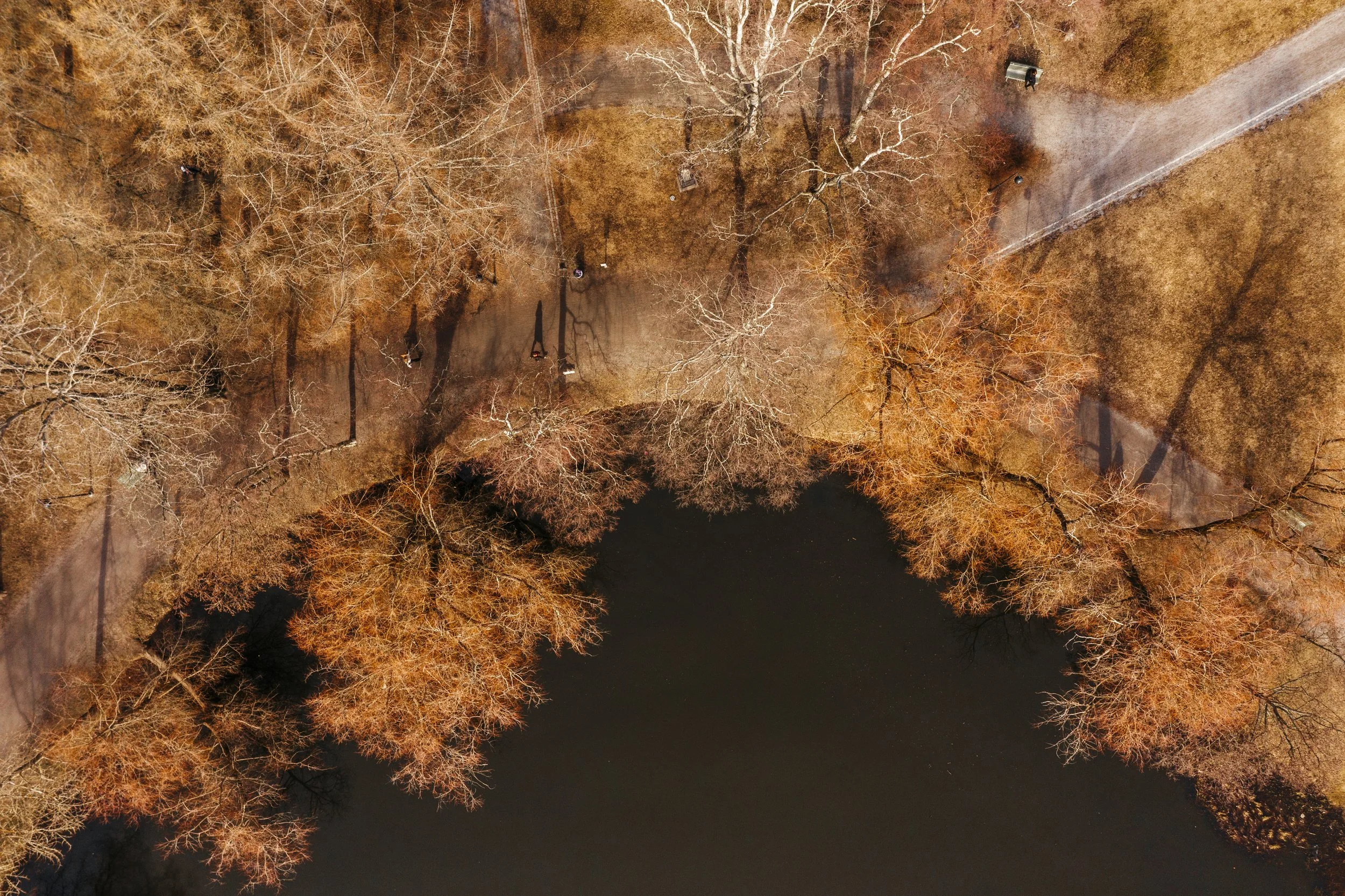 spring-at-a-distance-9.jpg