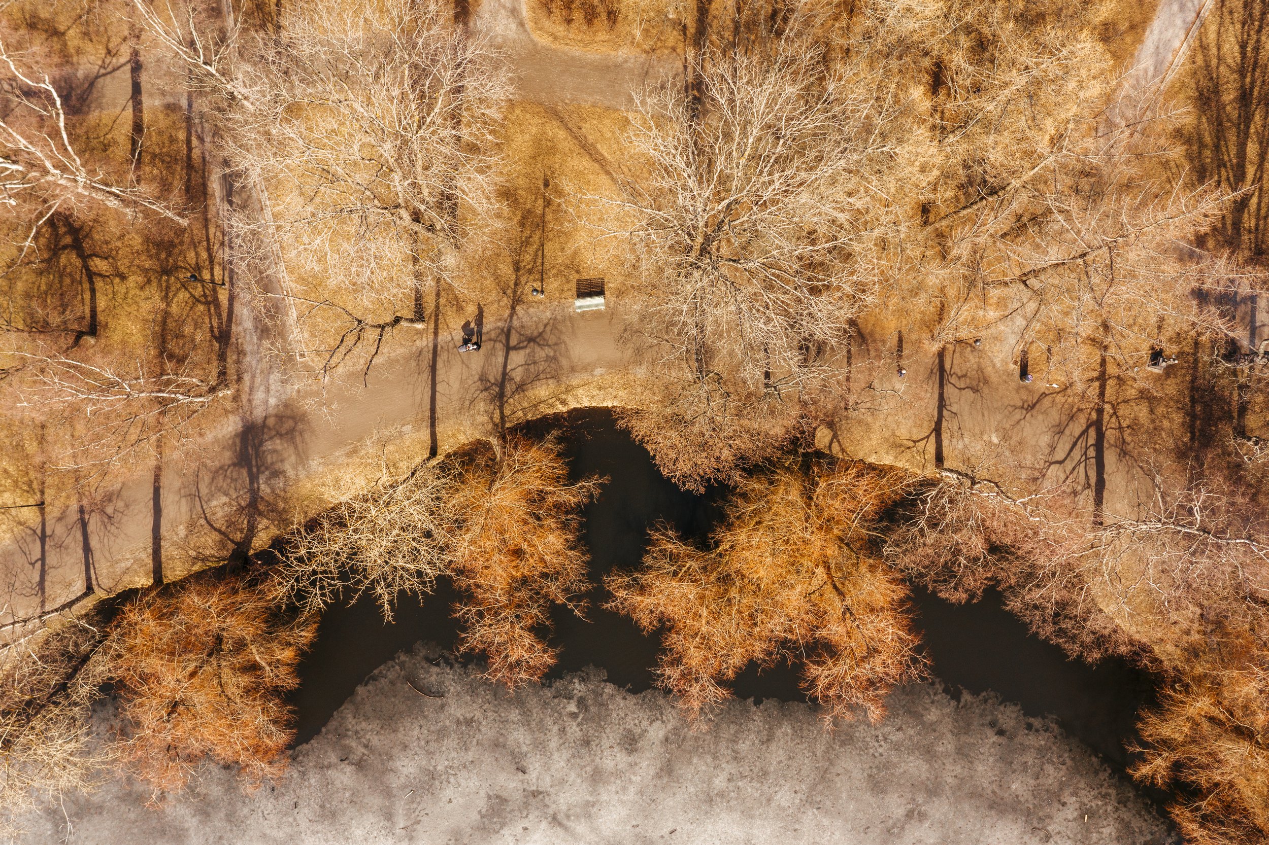 spring-at-a-distance-4.jpg