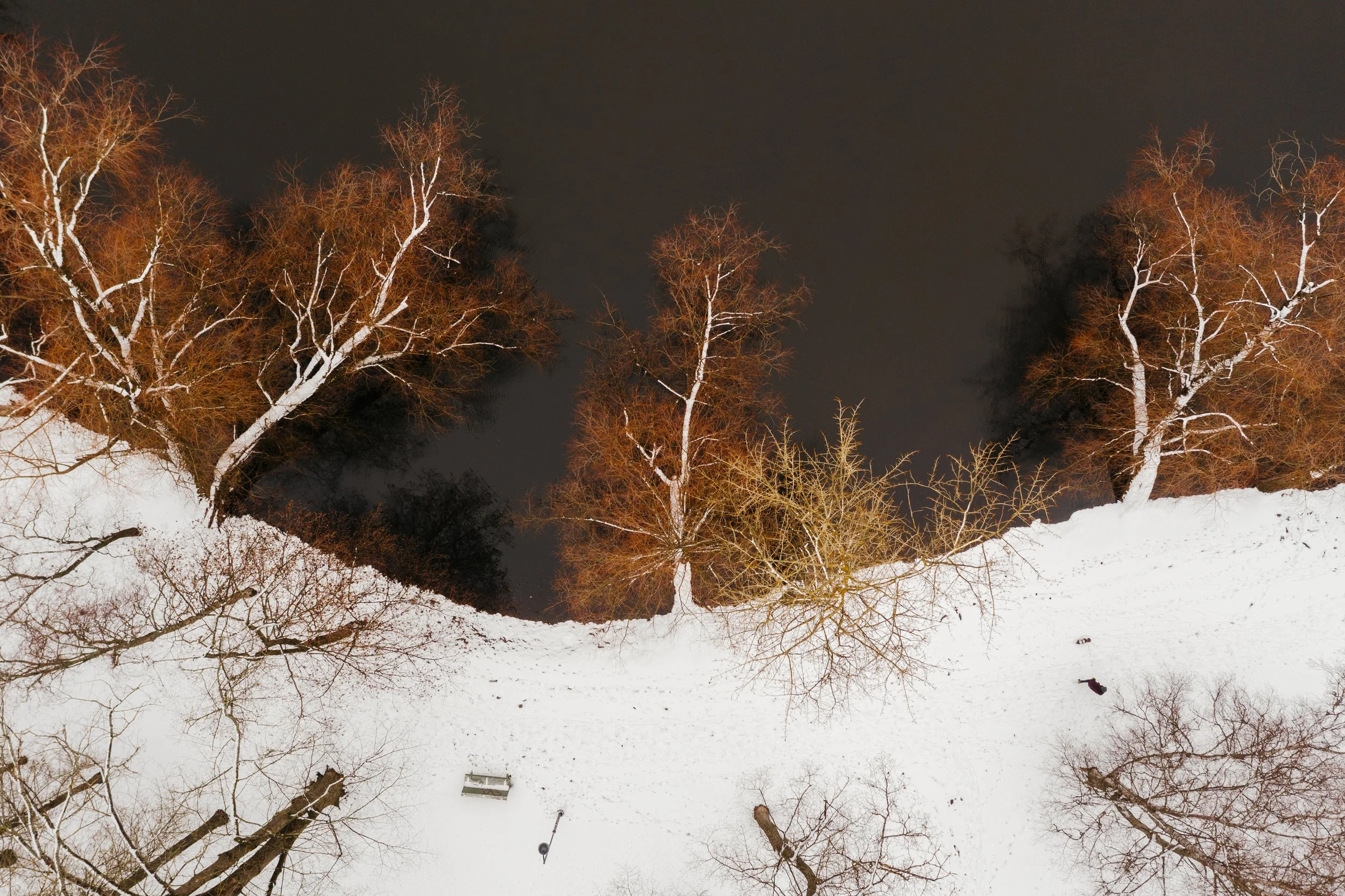 spring-at-a-distance-7.jpg