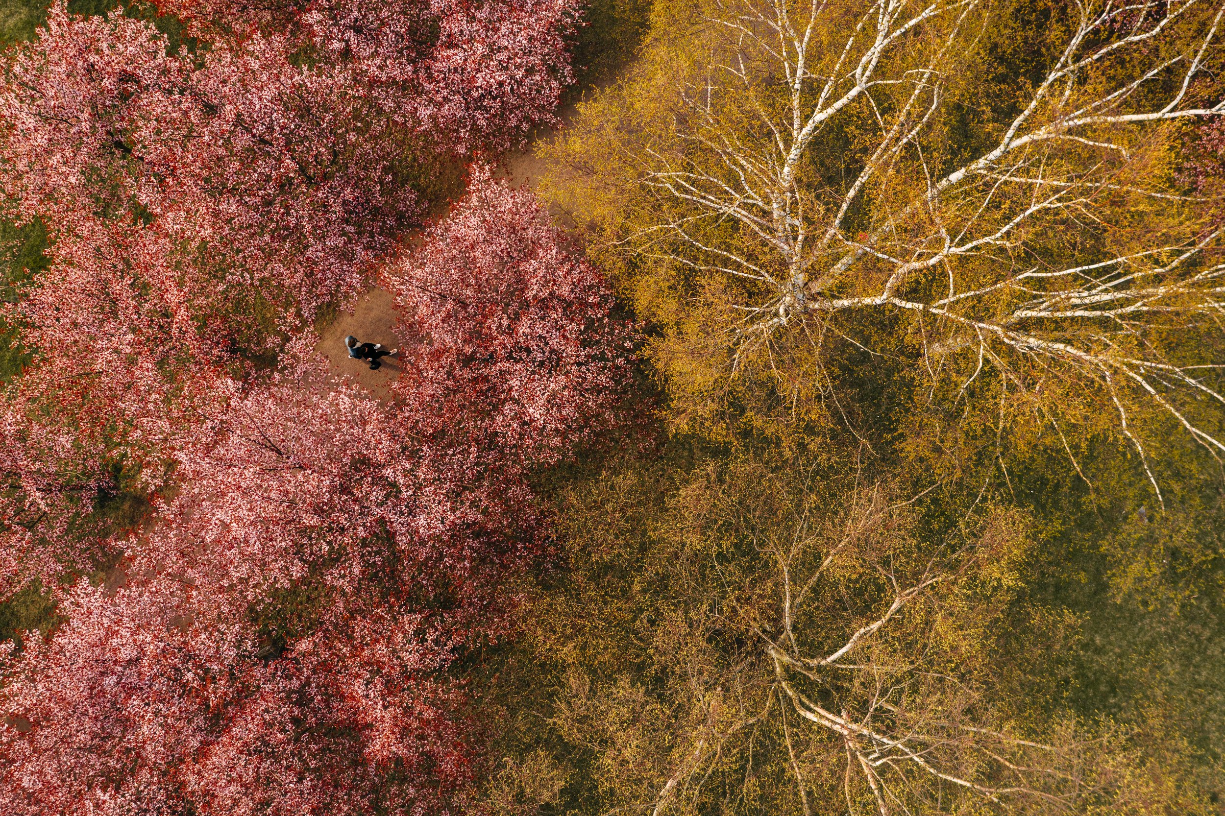 spring-at-a-distance-16.jpg