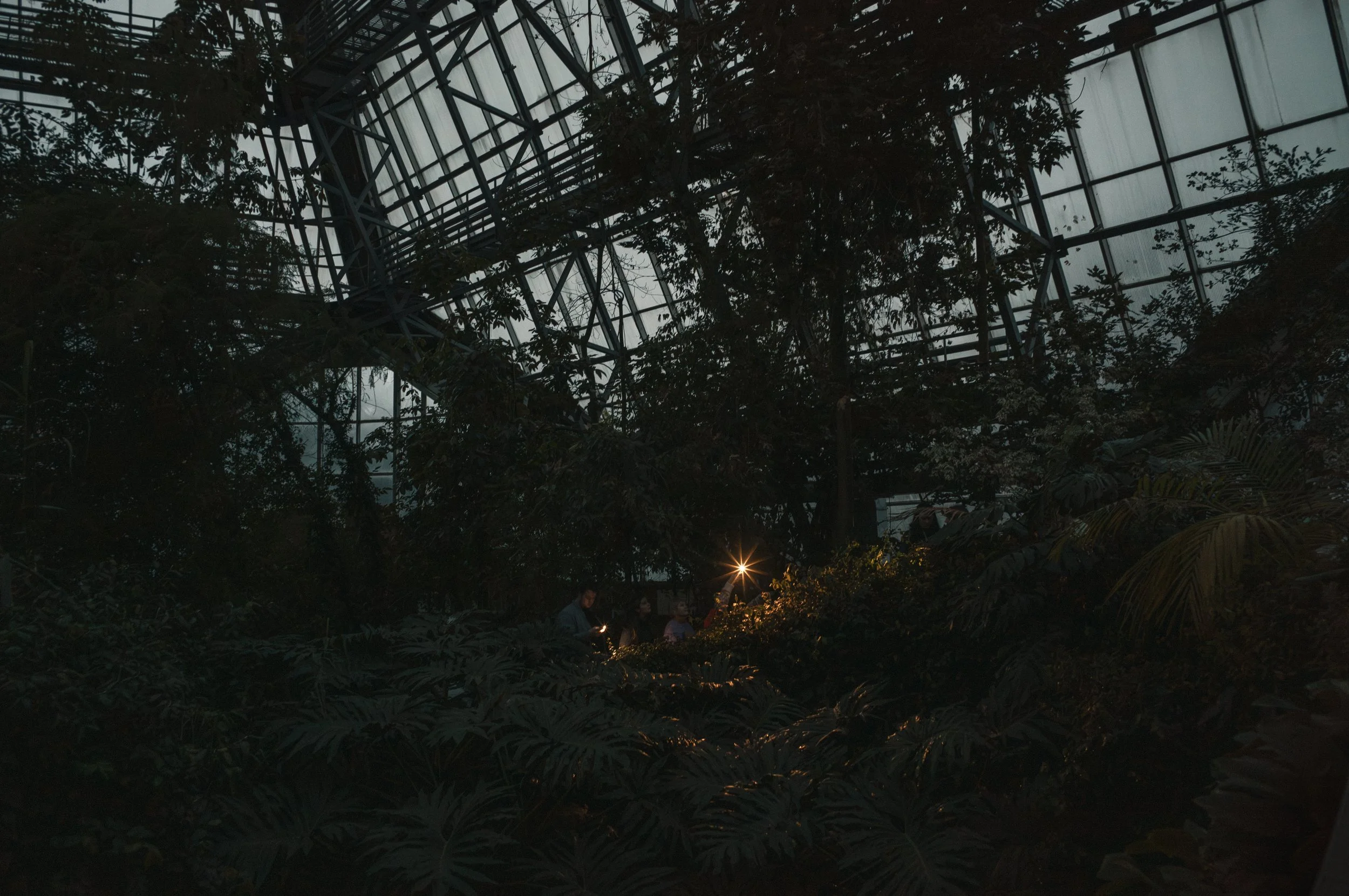 The war and resultant power outages impact all life forms, as seen in Kyiv’s botanical garden. Home to a decades-old collection of thousands of plants needing tropical conditions, the garden faces a critical challenge. Lead researcher Roman Ivannikov