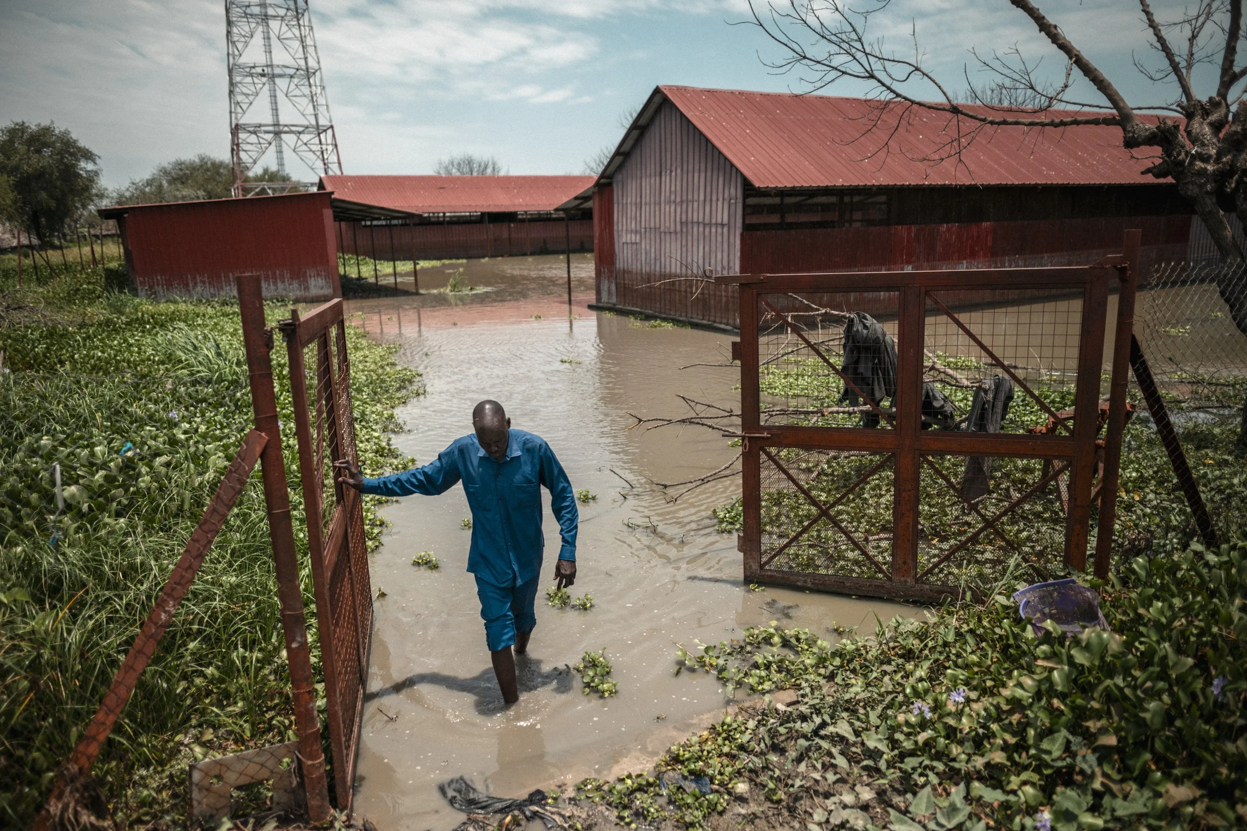 Simon Kun Tutkuach, head teacher of Old Fangak Primary School, walks through the flooded school compound. The school building remained underwater a year after the dyke protecting the town failed.