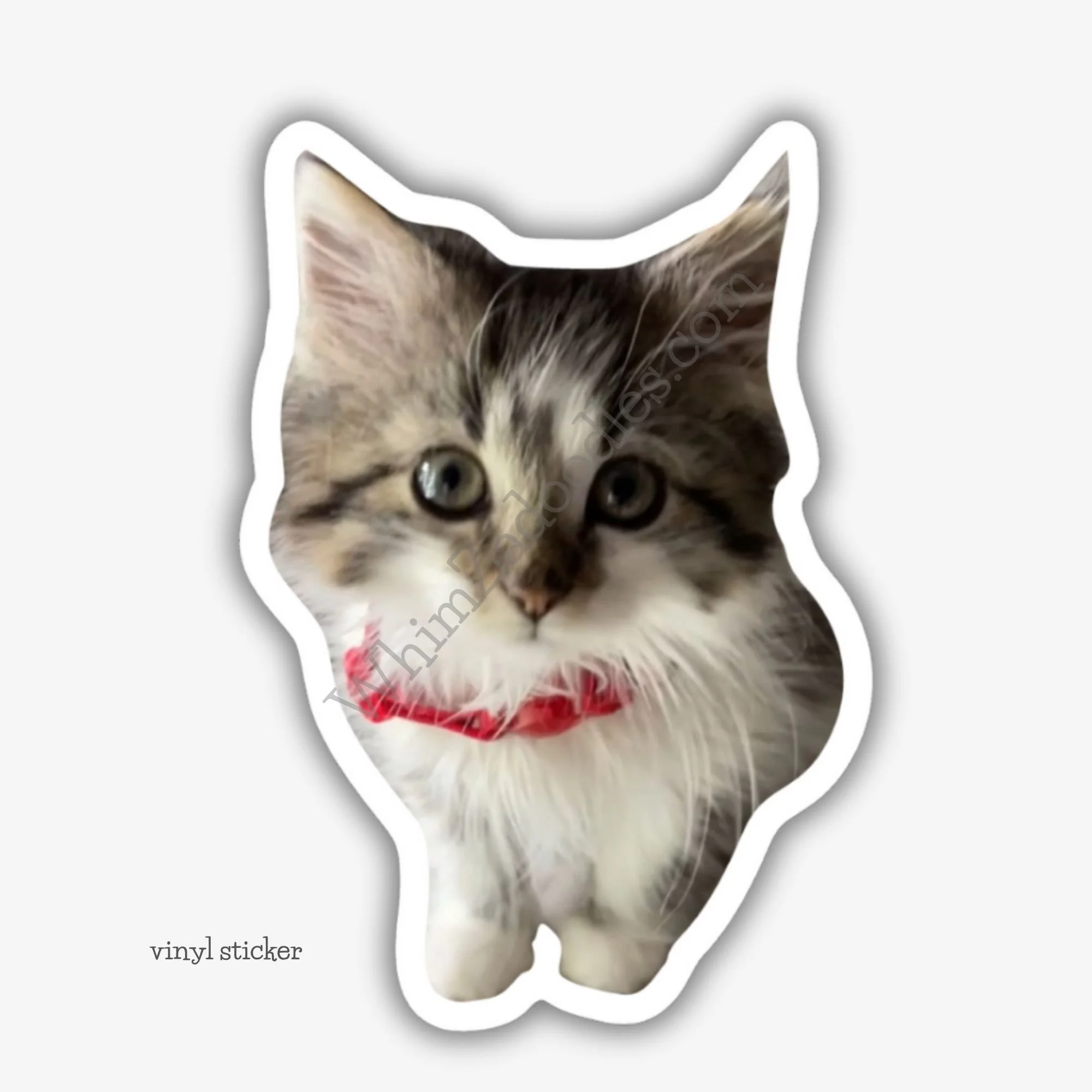 SAM - WhimZadoodles CEO