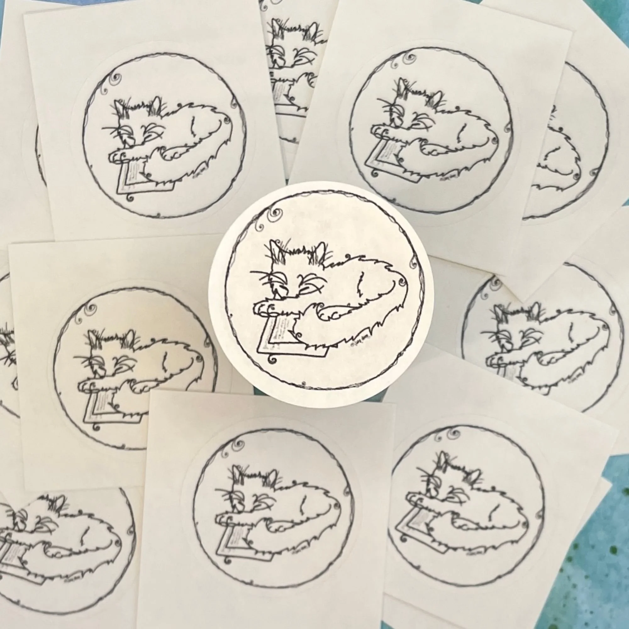 single kitten seal in sharp focus with additional seals softly blurred behind