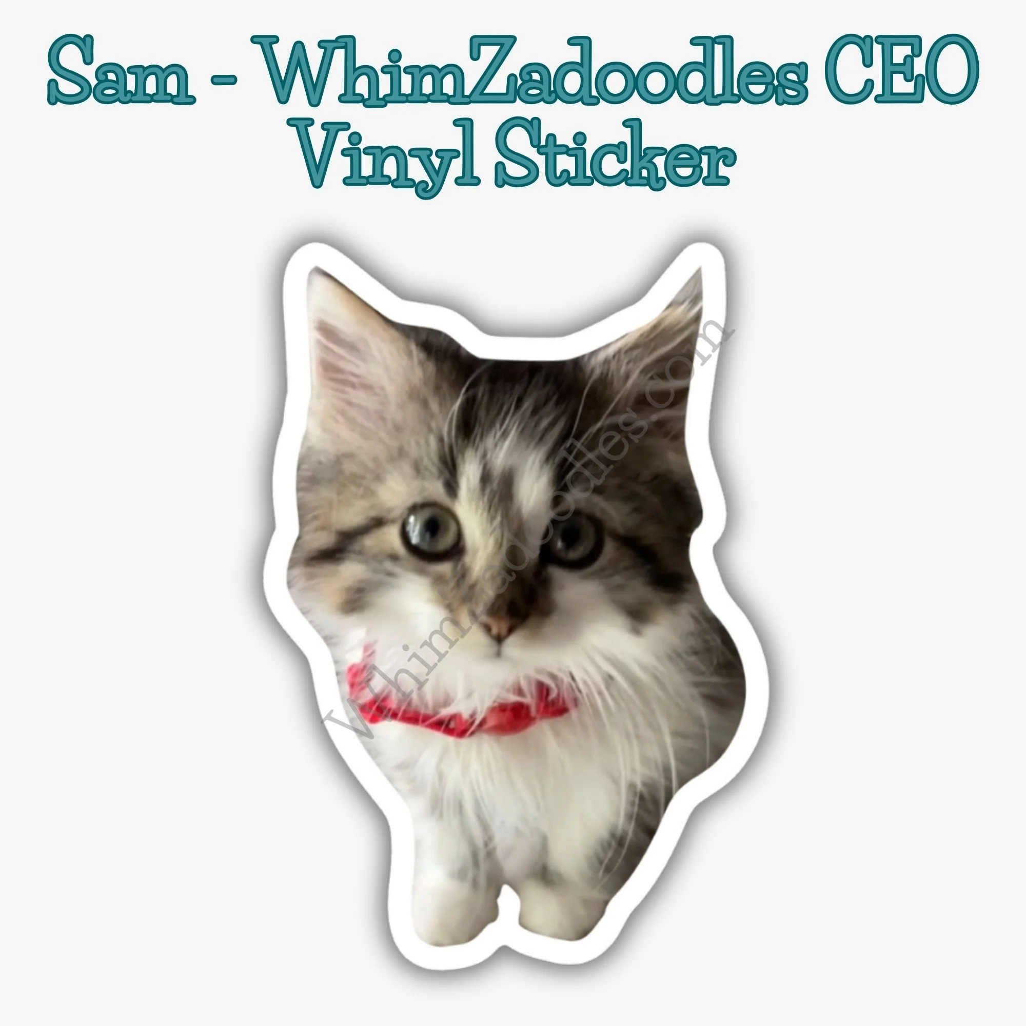 SAM - WhimZadoodles CEO