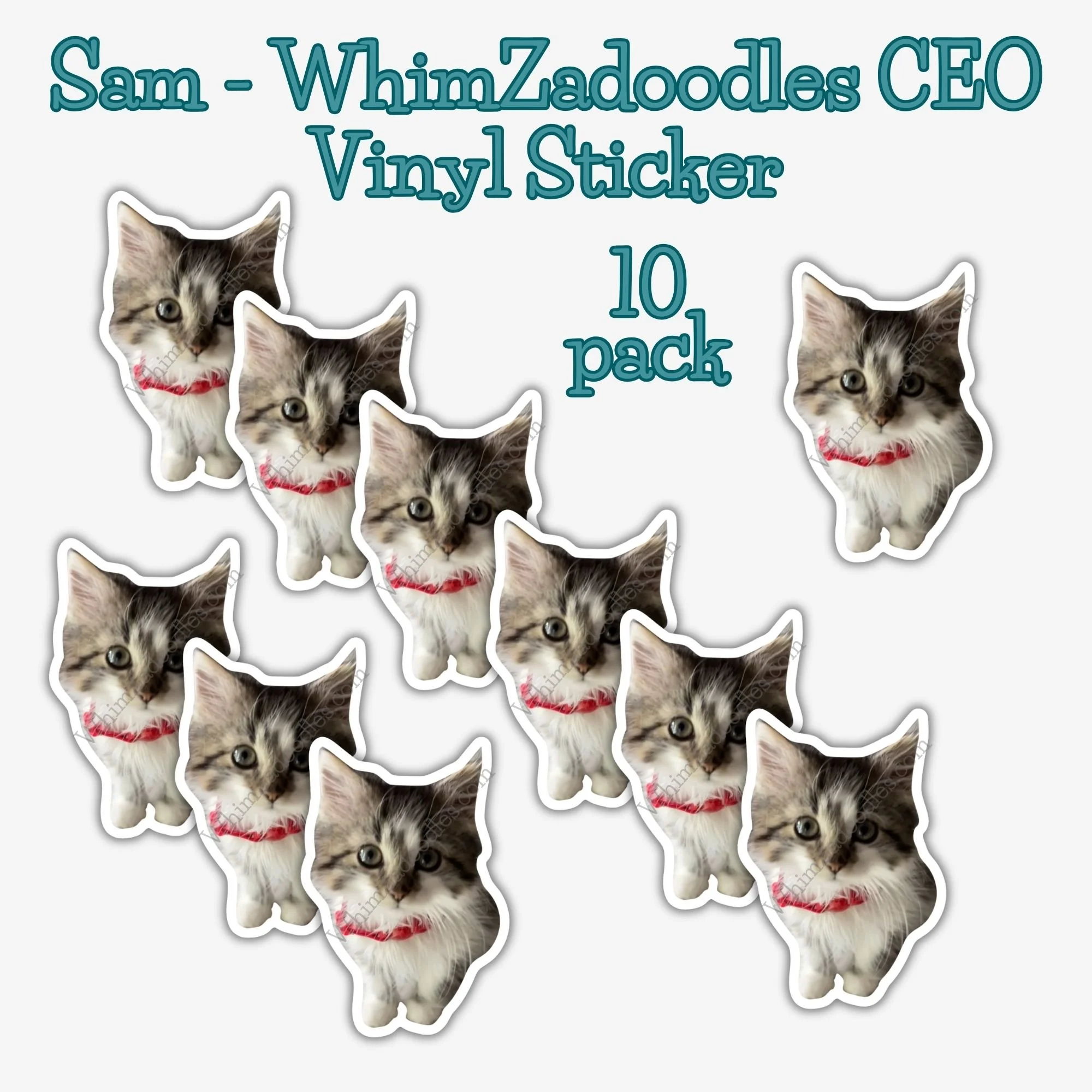 SAM - WhimZadoodles CEO