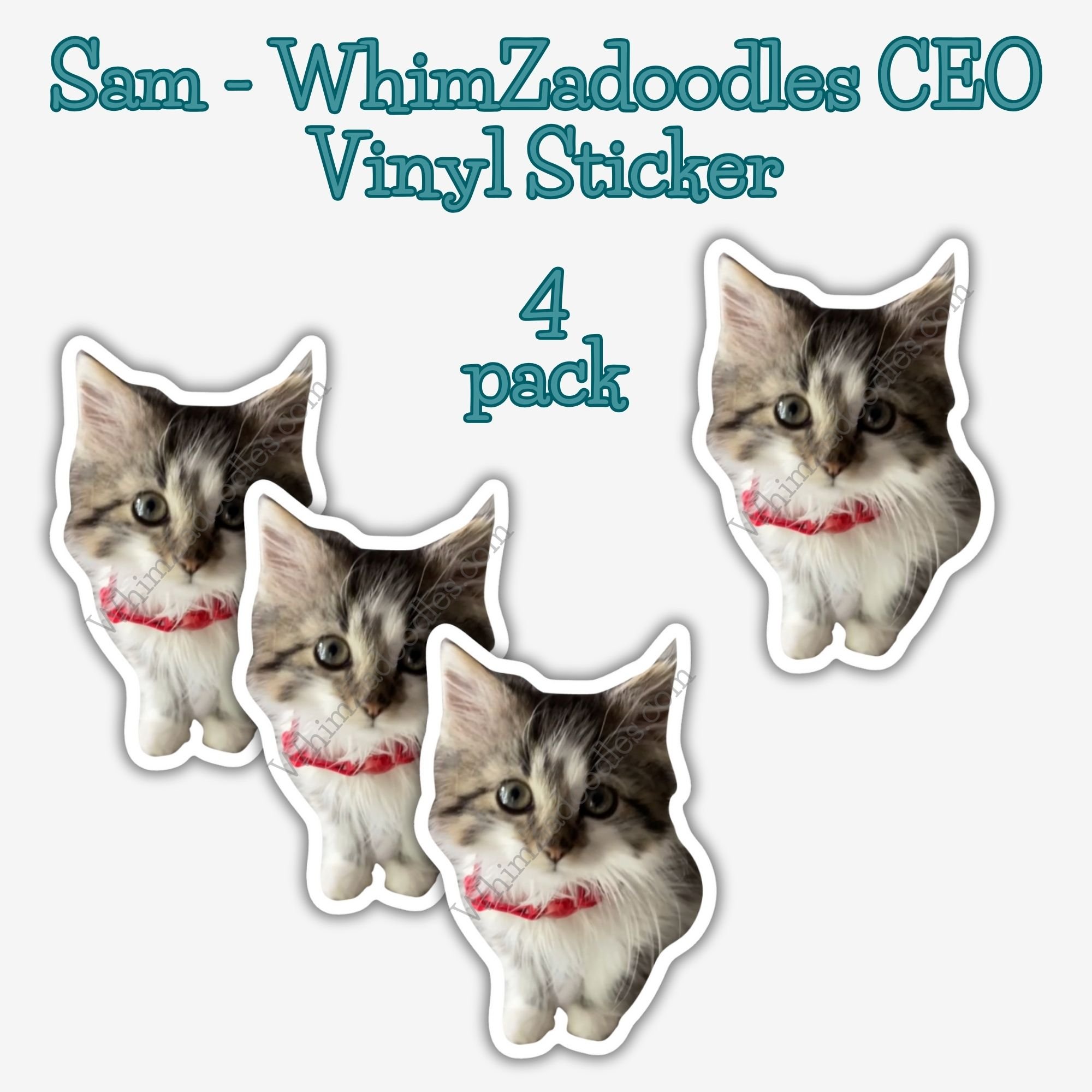 SAM - WhimZadoodles CEO